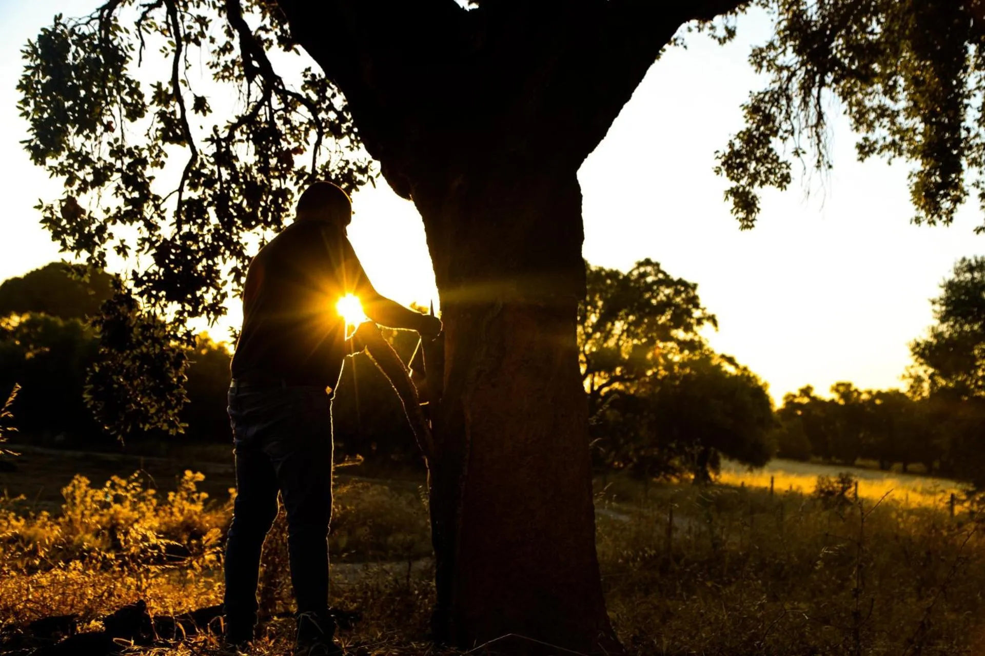 A Casa do Governador