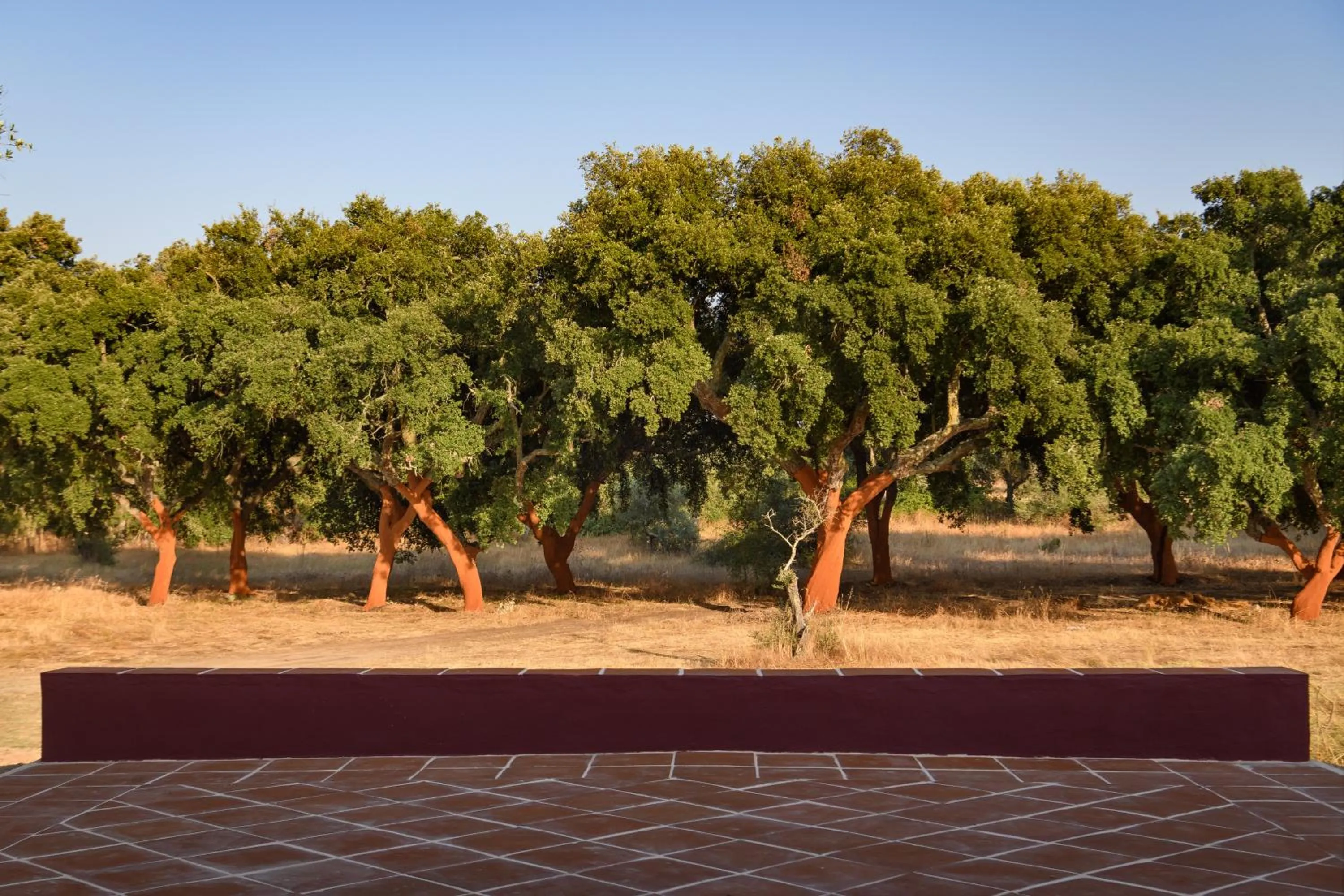 A Casa do Governador