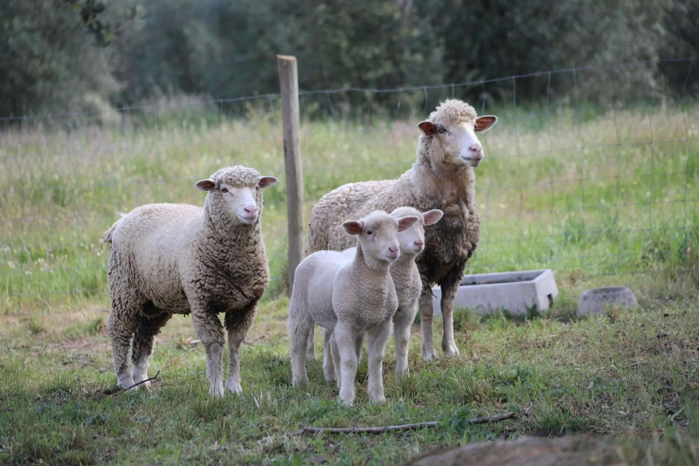 A Casa do Governador