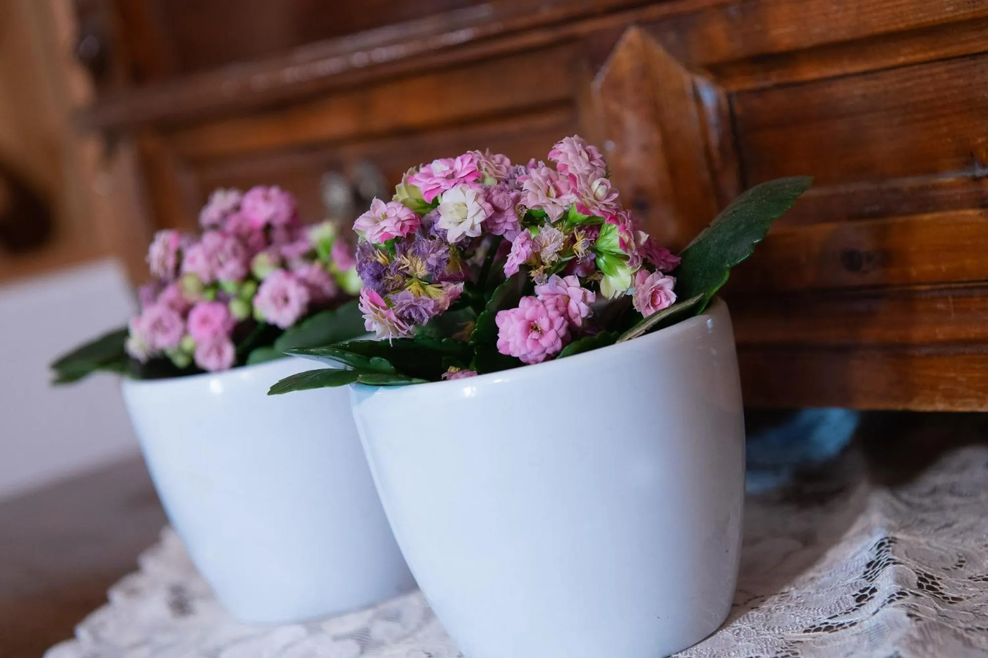 Other in Residence Barbara