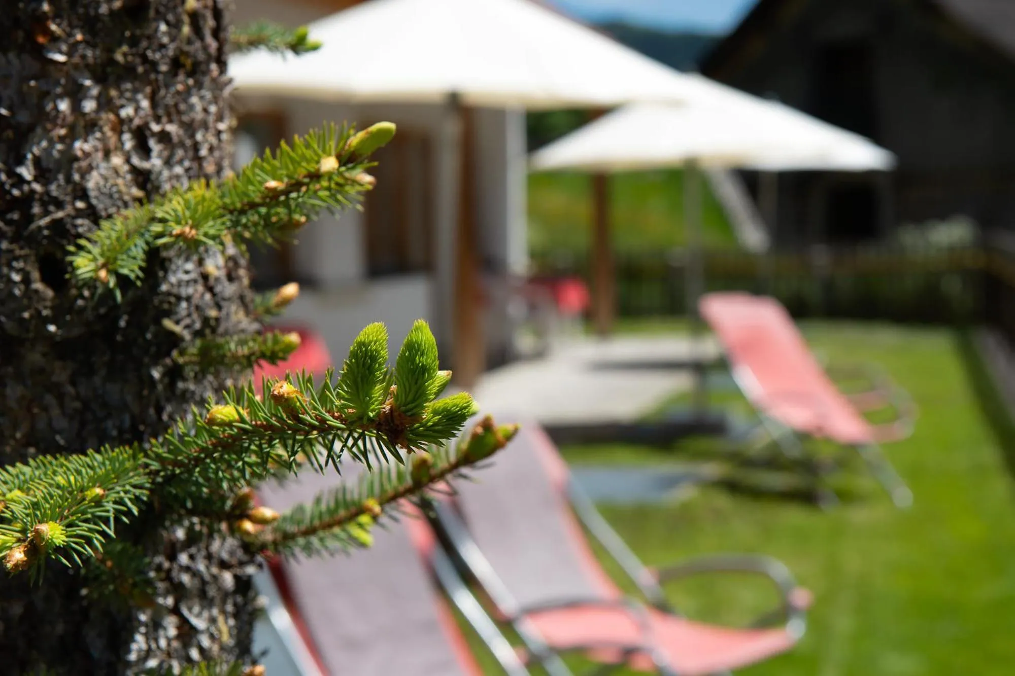 Other in Residence Barbara