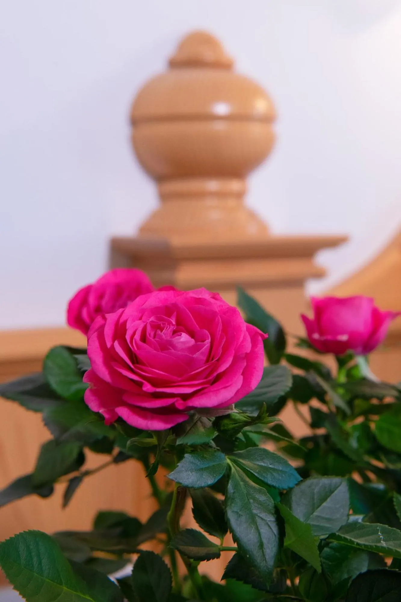 Other in Residence Barbara