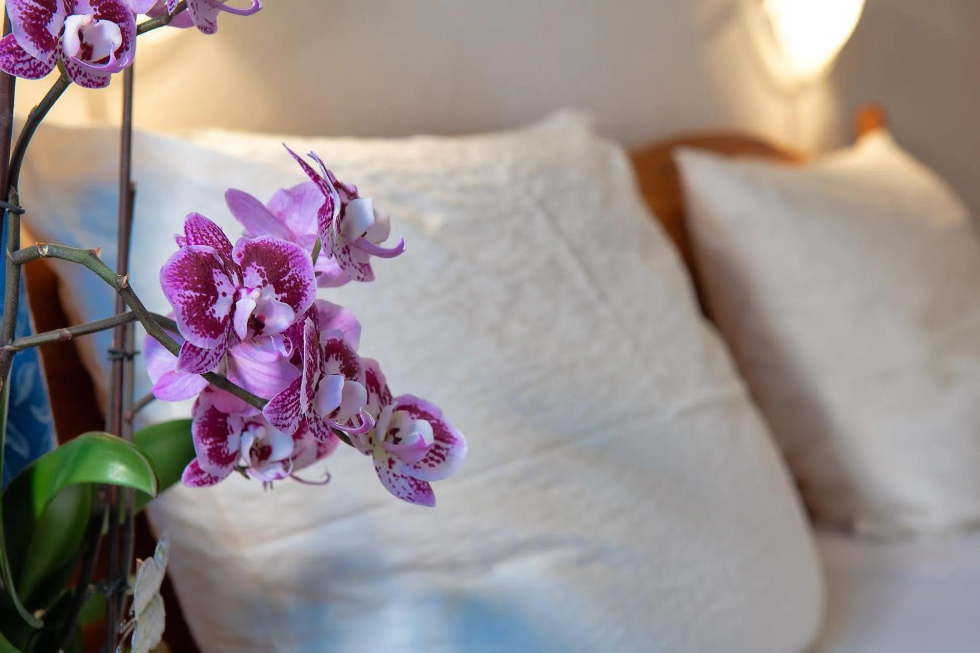 Other in Residence Barbara