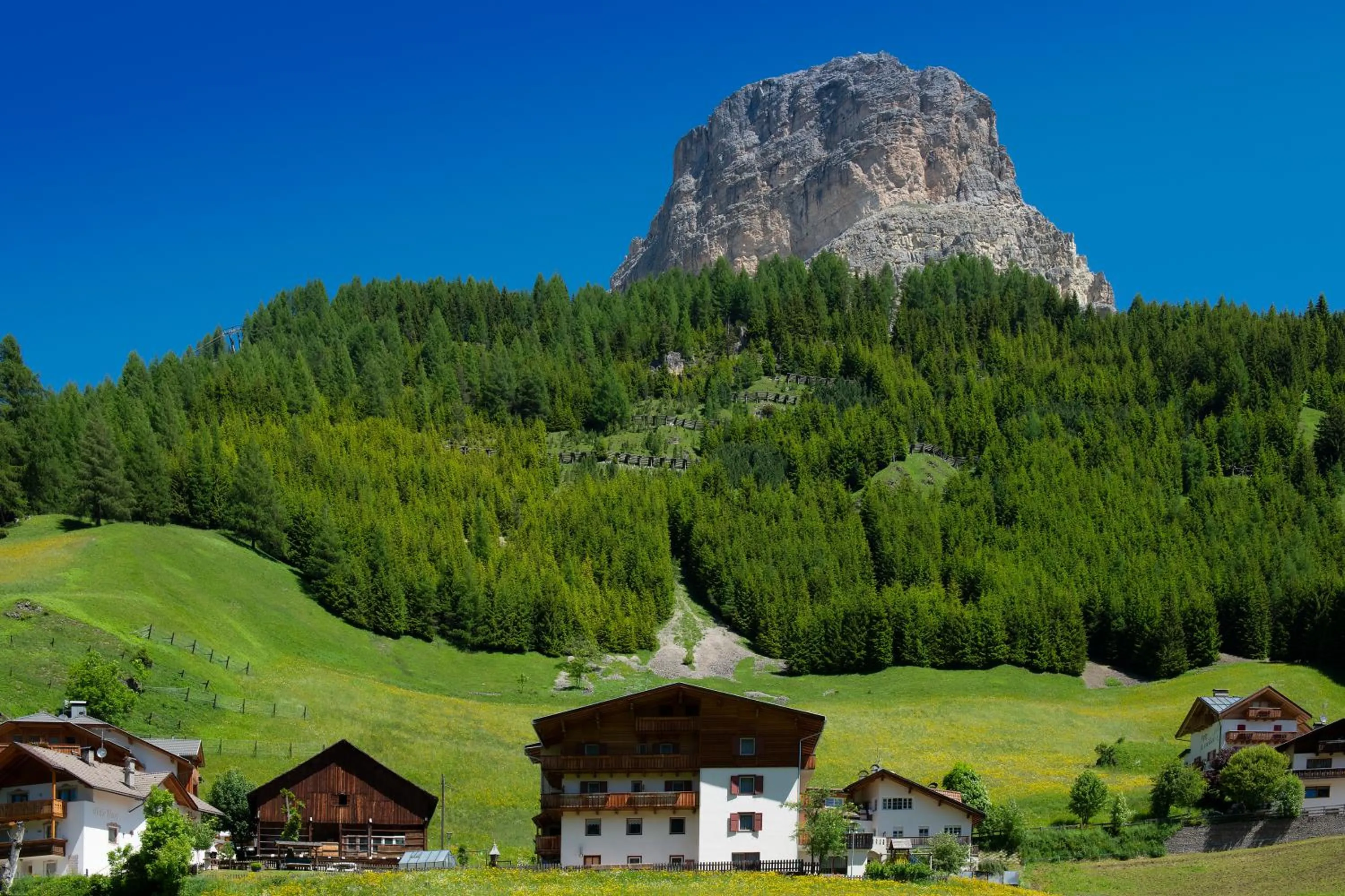 Other in Residence Barbara