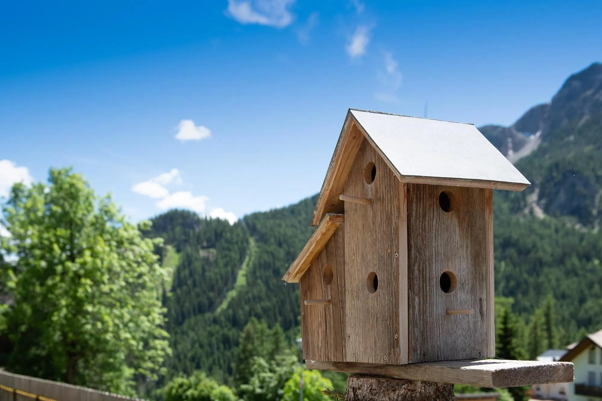 Property building in Residence Barbara