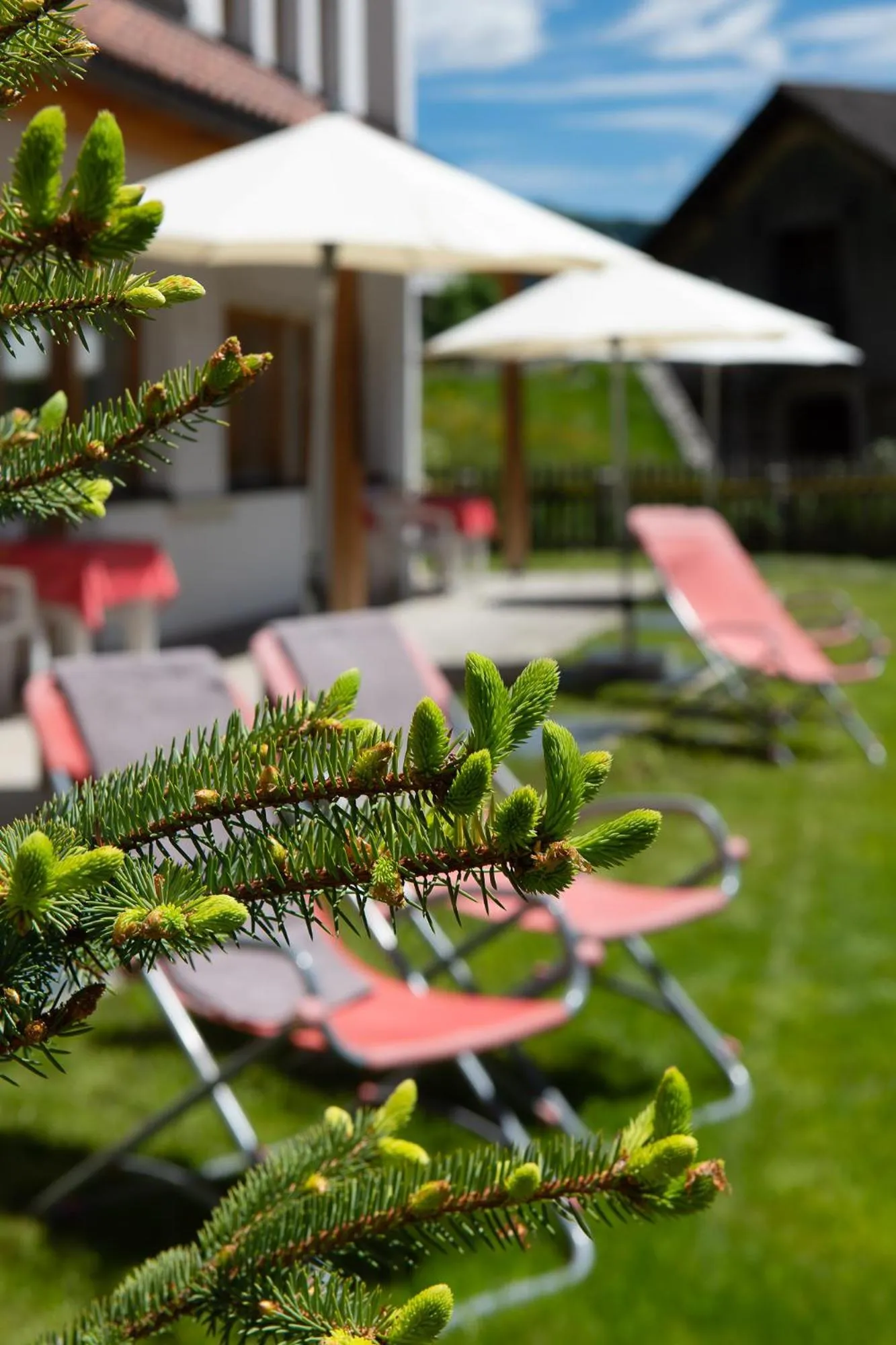 Other in Residence Barbara