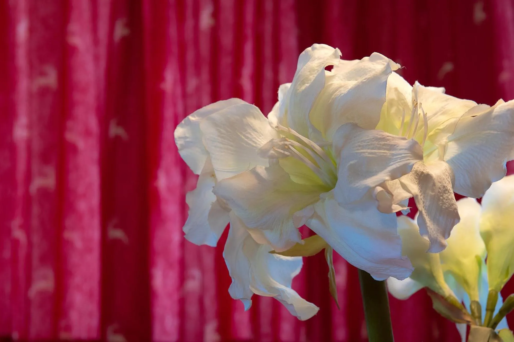 Other in Residence Barbara