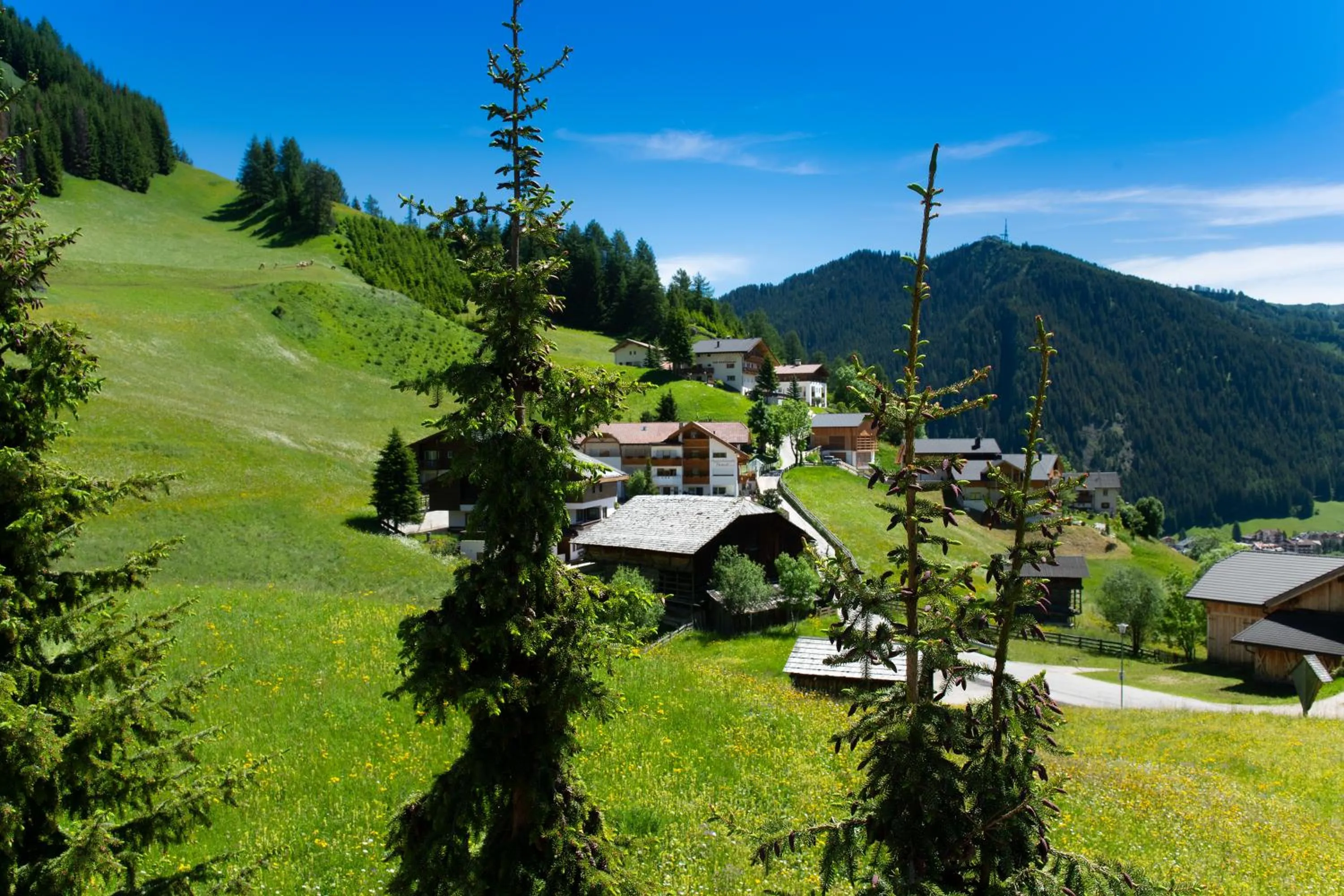 Property building in Residence Barbara