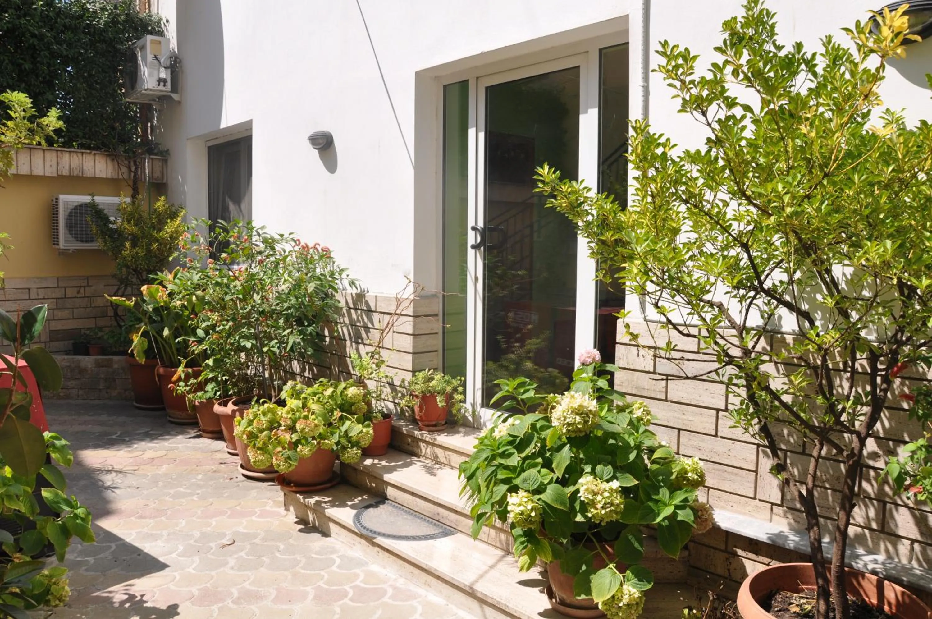 Patio in Hotel Pik Loti