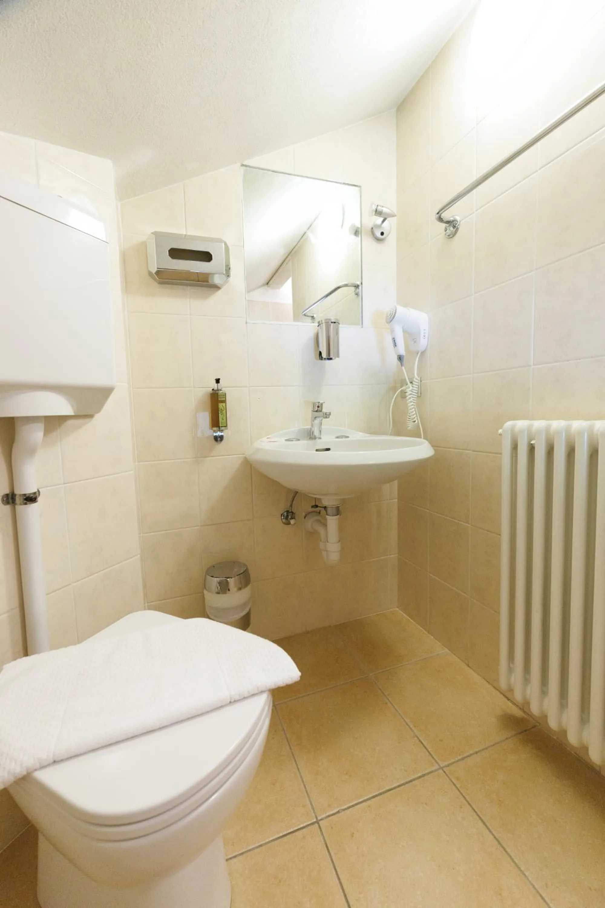 Toilet in Hotel Teola