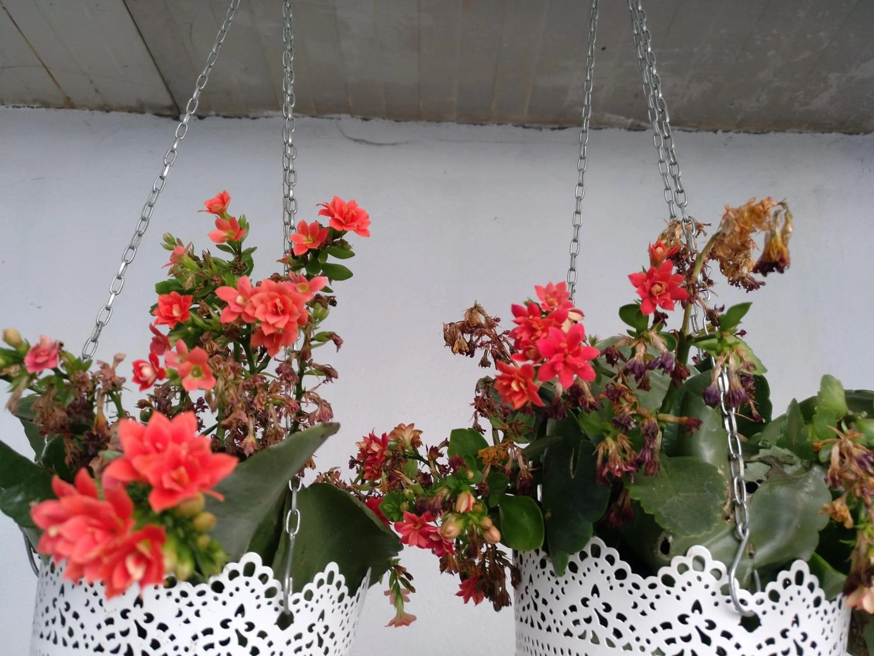 Decorative detail in O'Porto Seven - Guest House