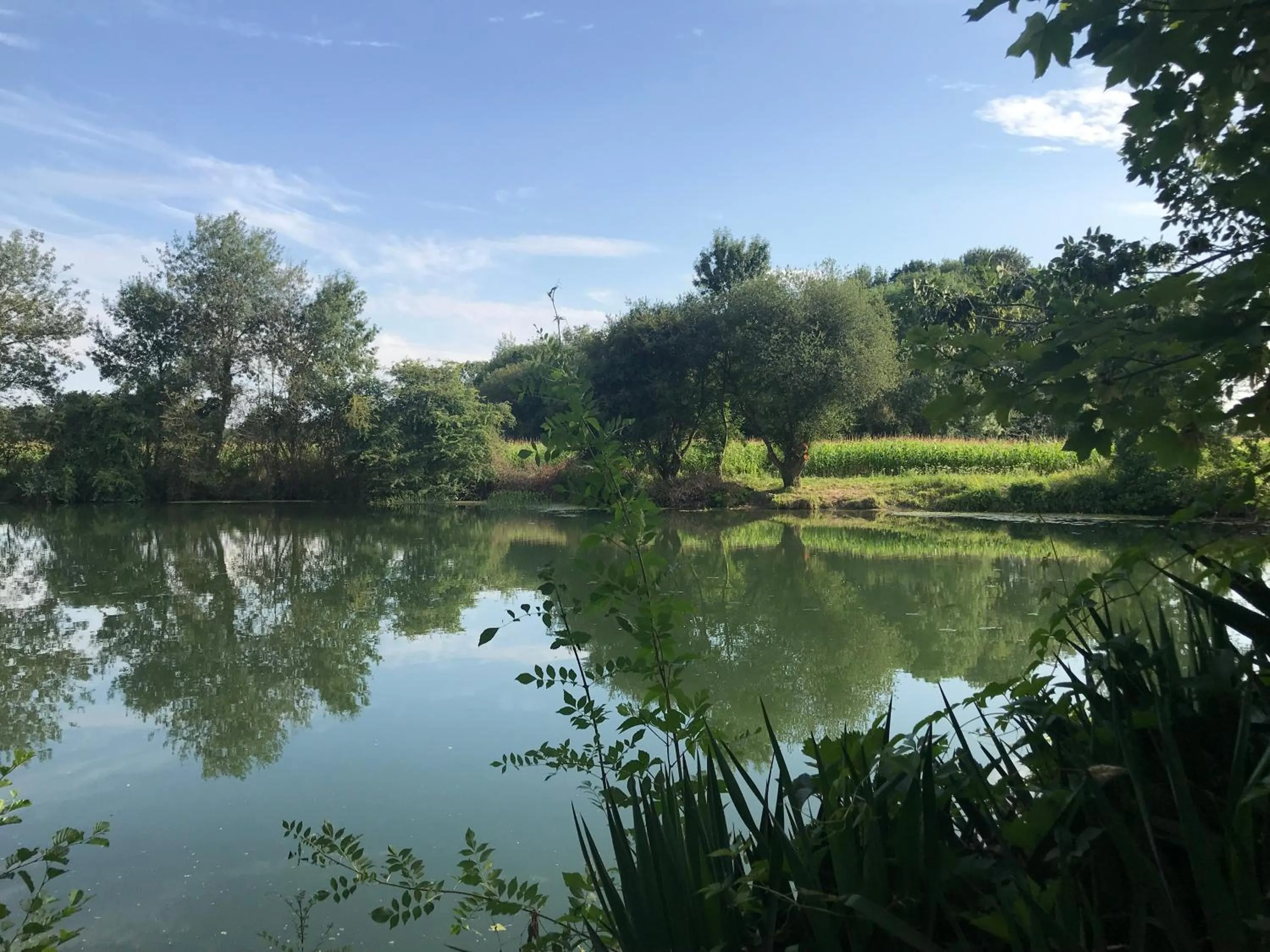 Patio in L'Auberge du Port des Roches
