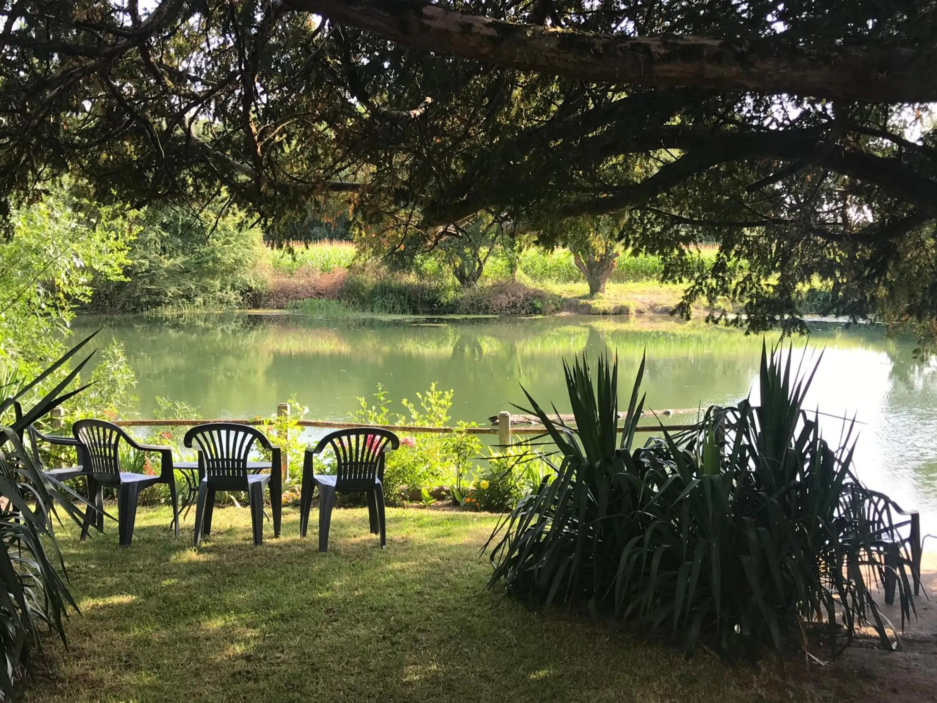 Patio in L'Auberge du Port des Roches