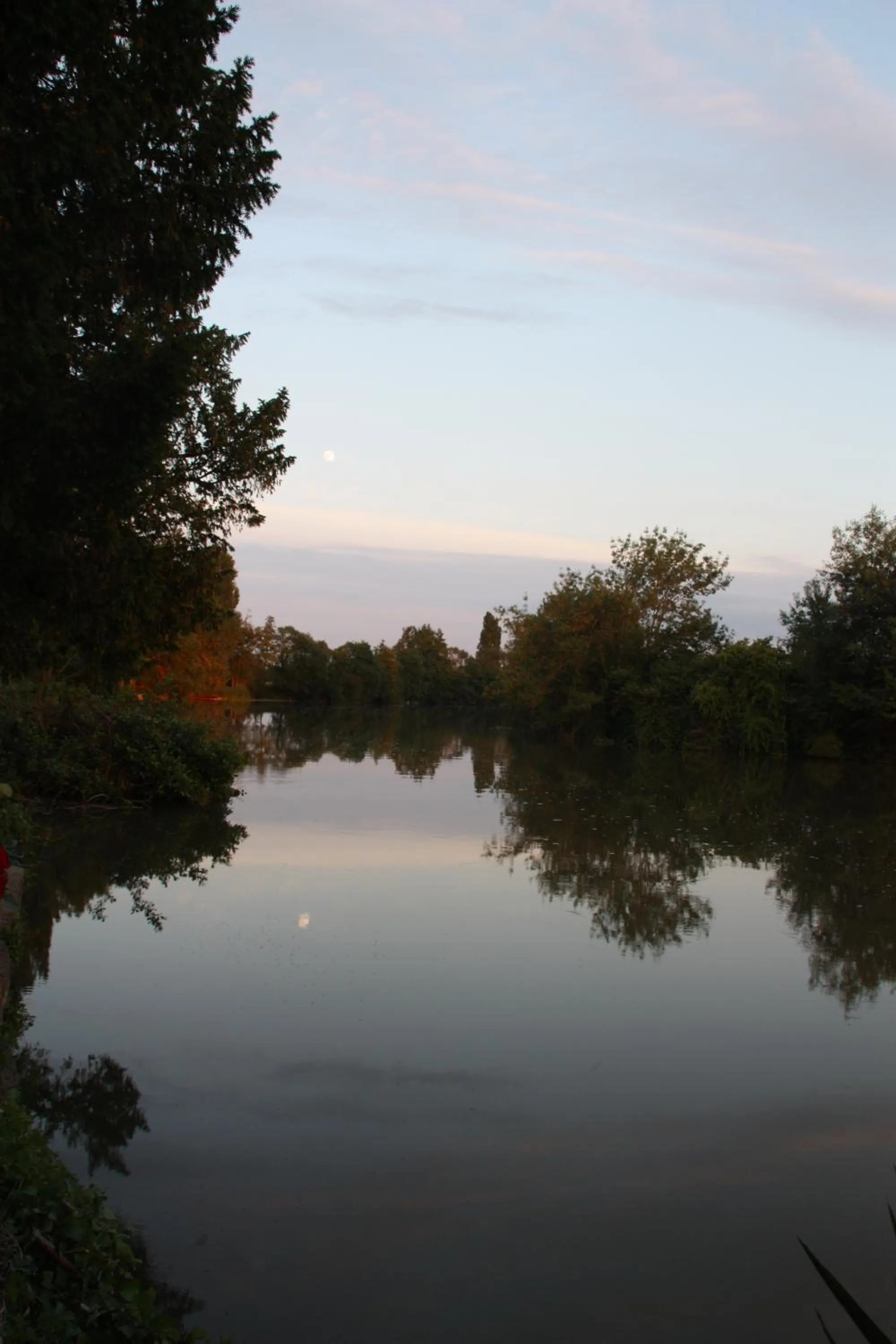 Garden in L'Auberge du Port des Roches