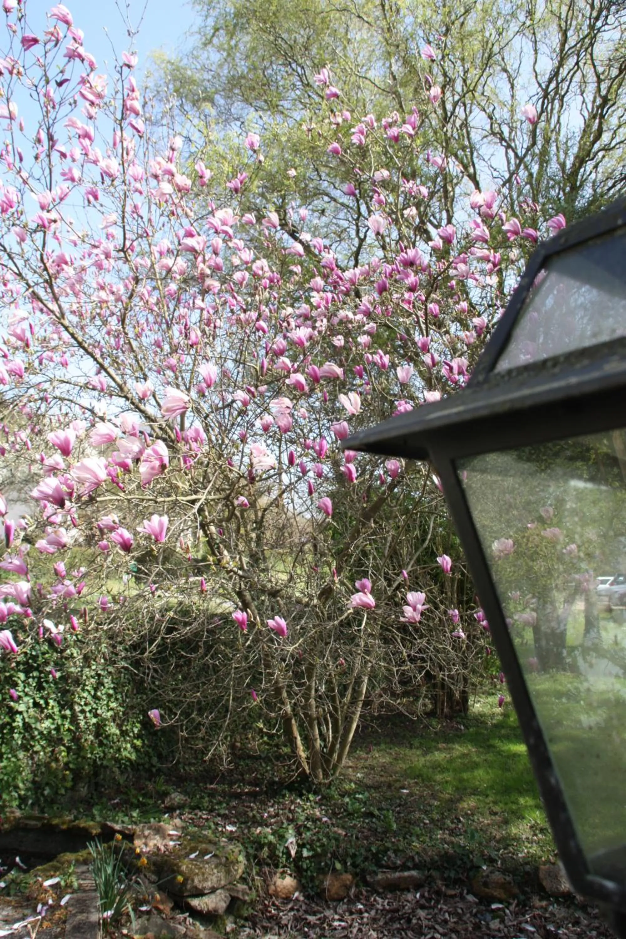 Patio in L'Auberge du Port des Roches