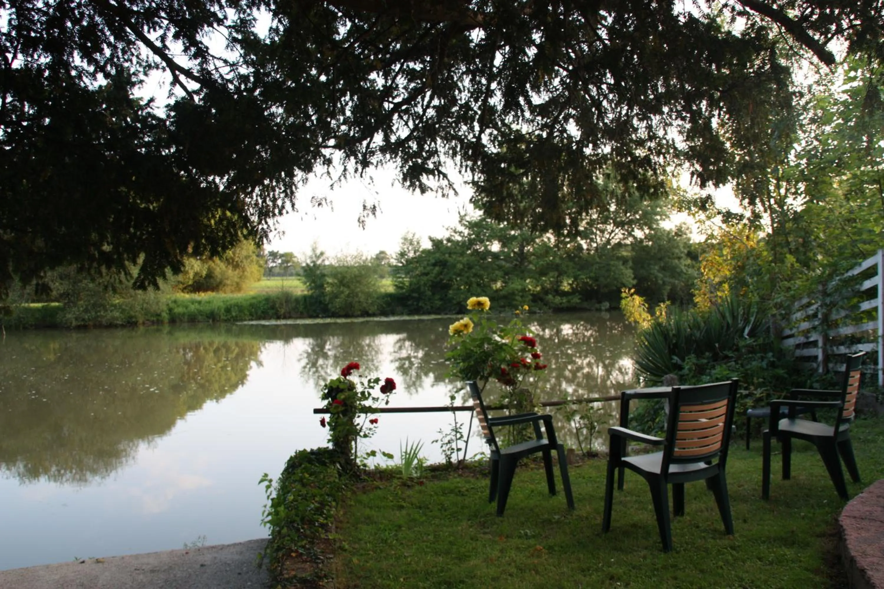 Garden in L'Auberge du Port des Roches