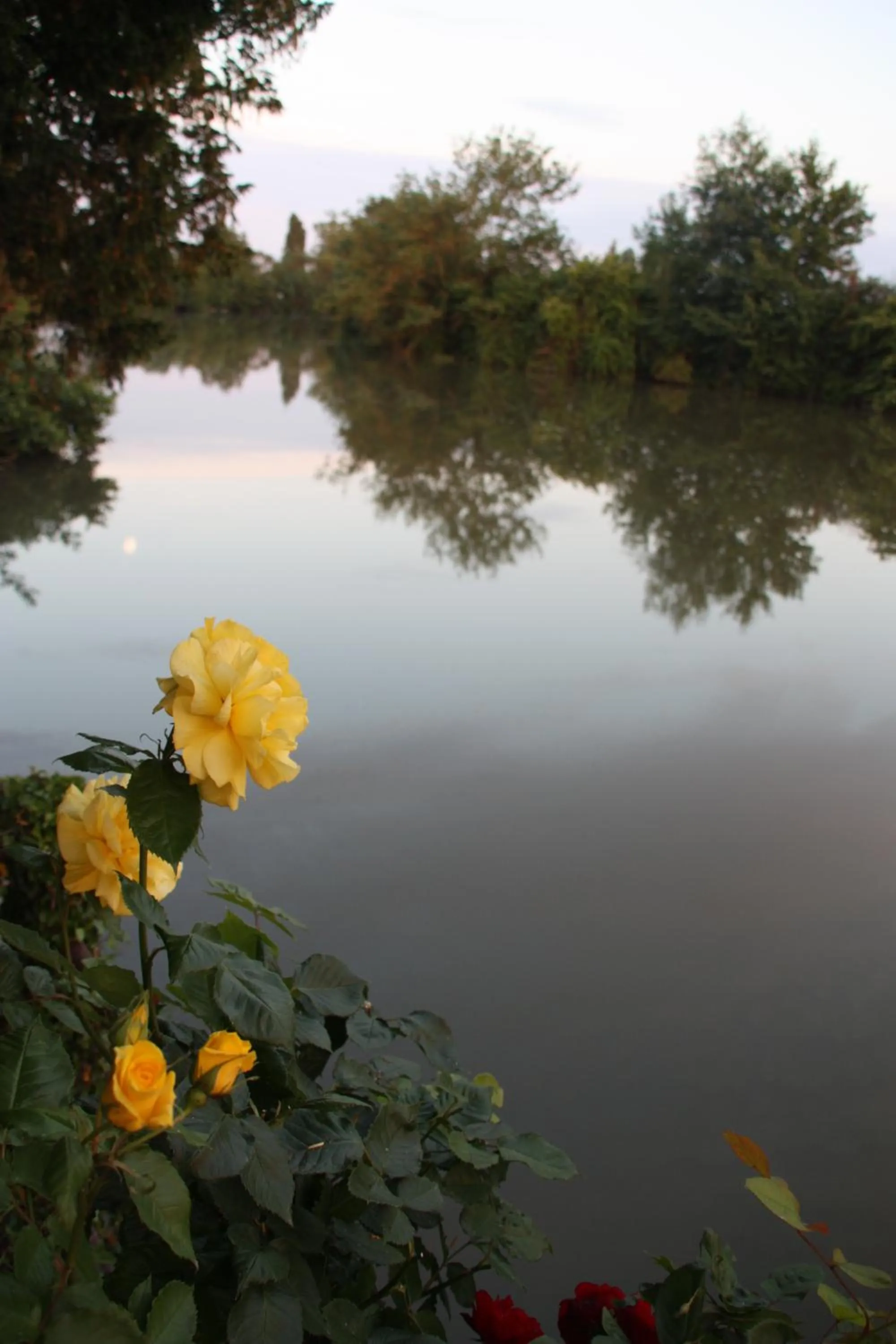 Garden in L'Auberge du Port des Roches