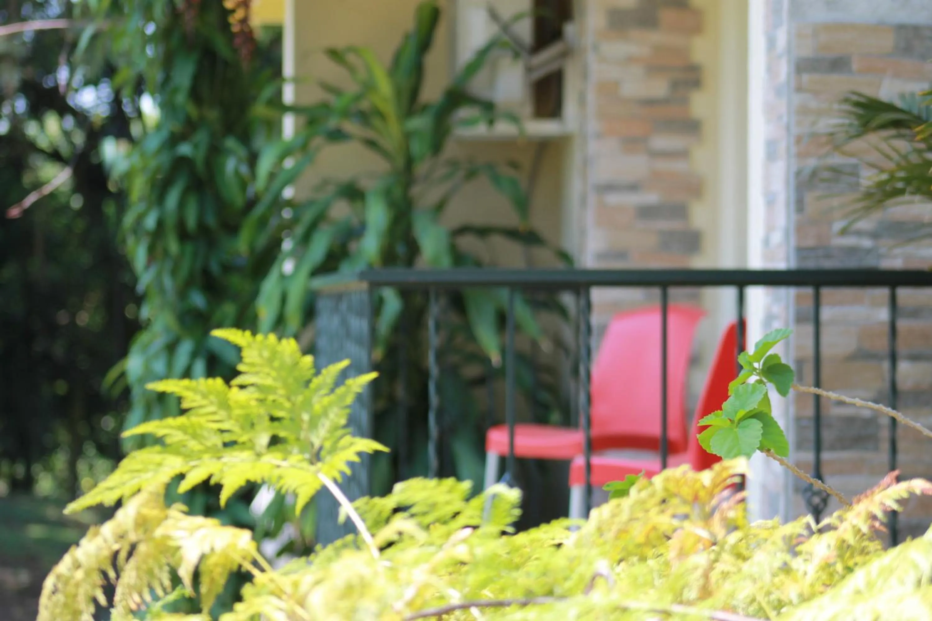 Day in Hotel Campestre Santa Monica Pance