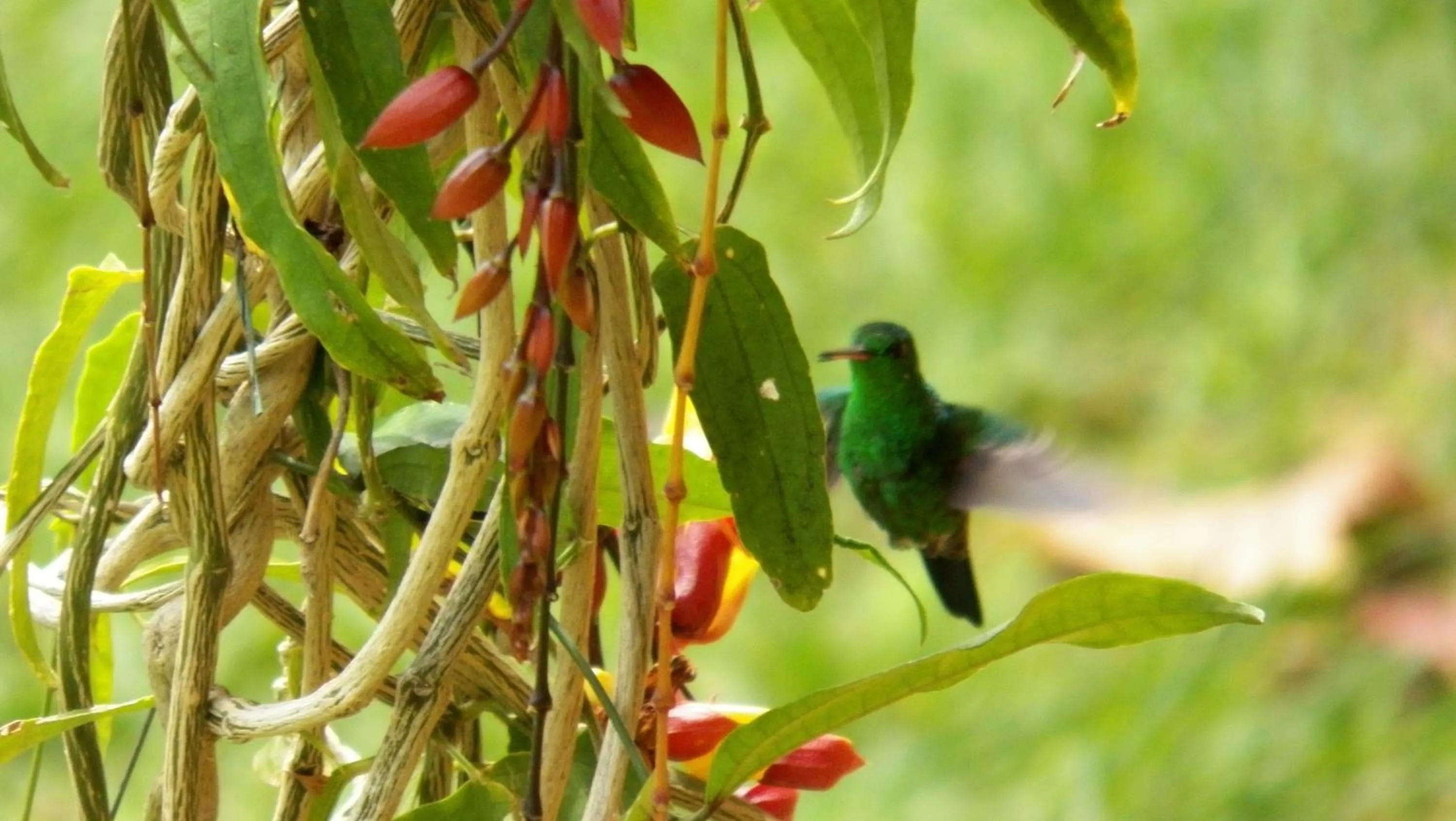 Day in Hotel Campestre Santa Monica Pance