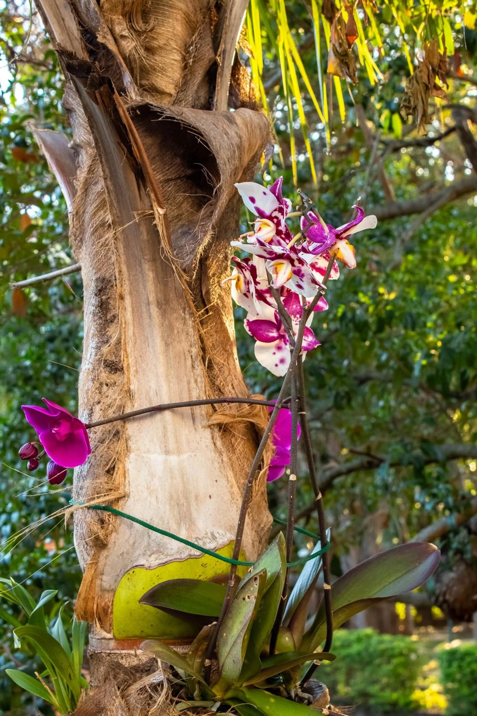 Escarpas Eco Village