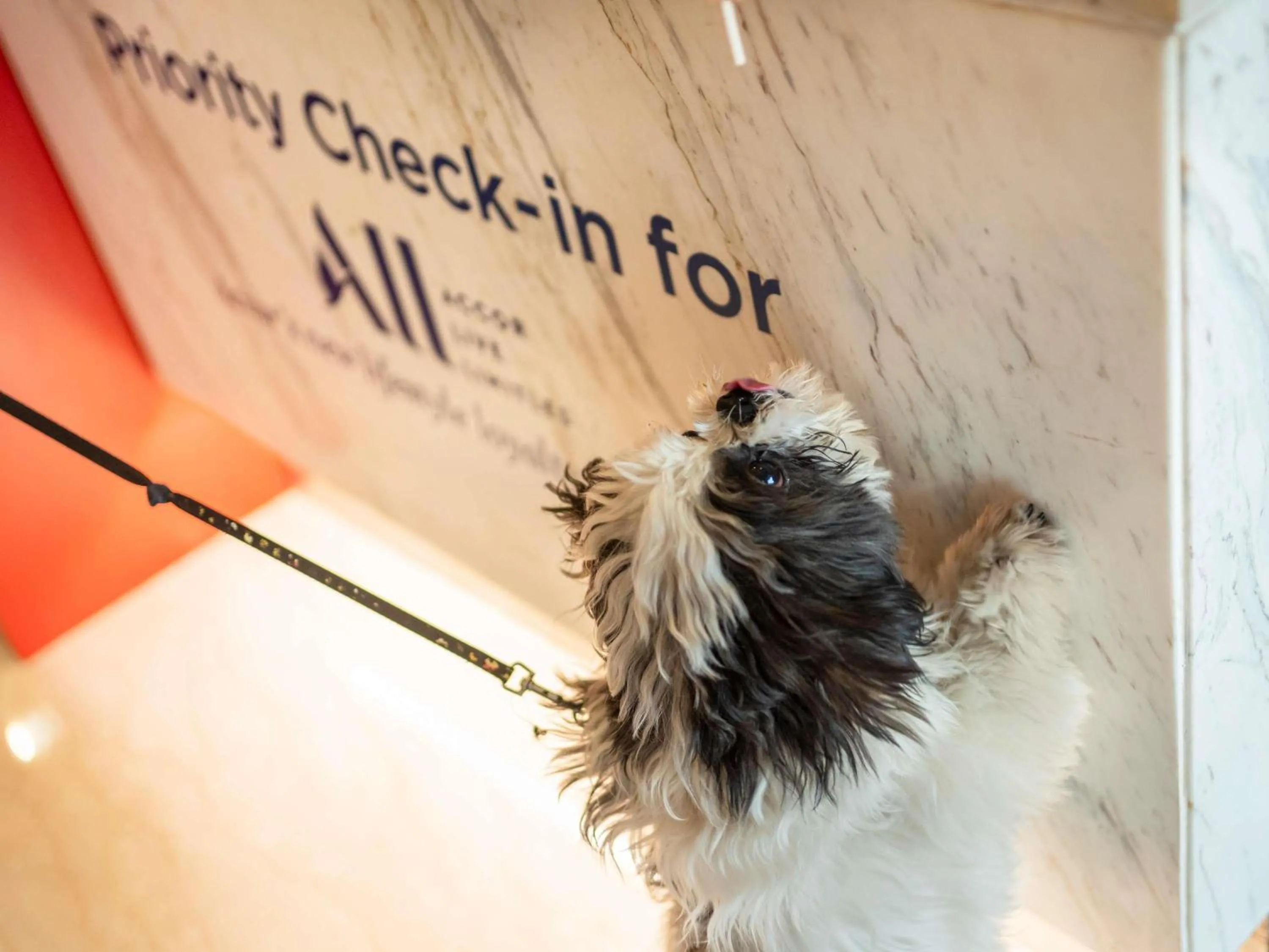 Other in ibis Heilbronn City