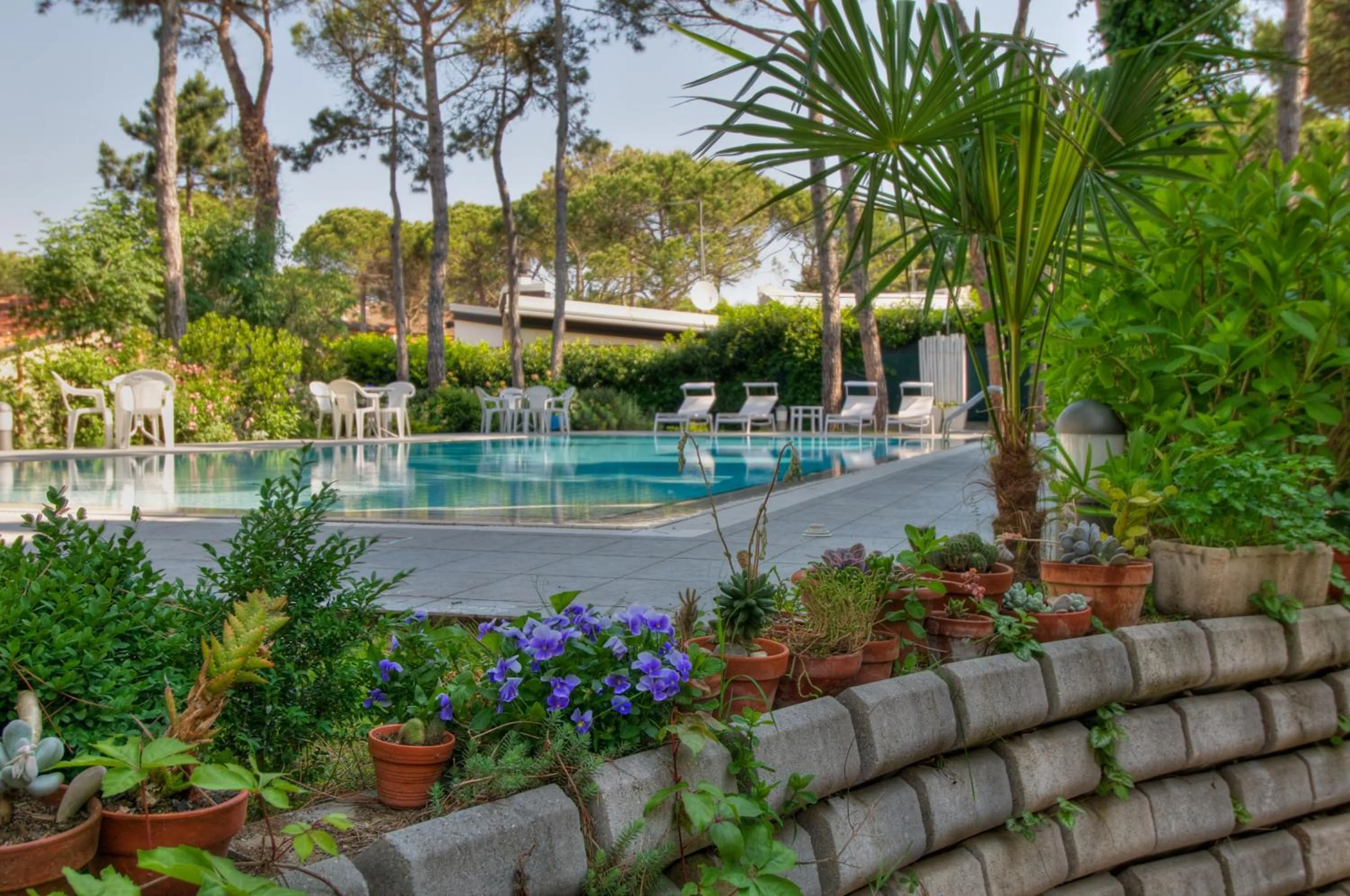 Swimming pool in Hotel Caracas