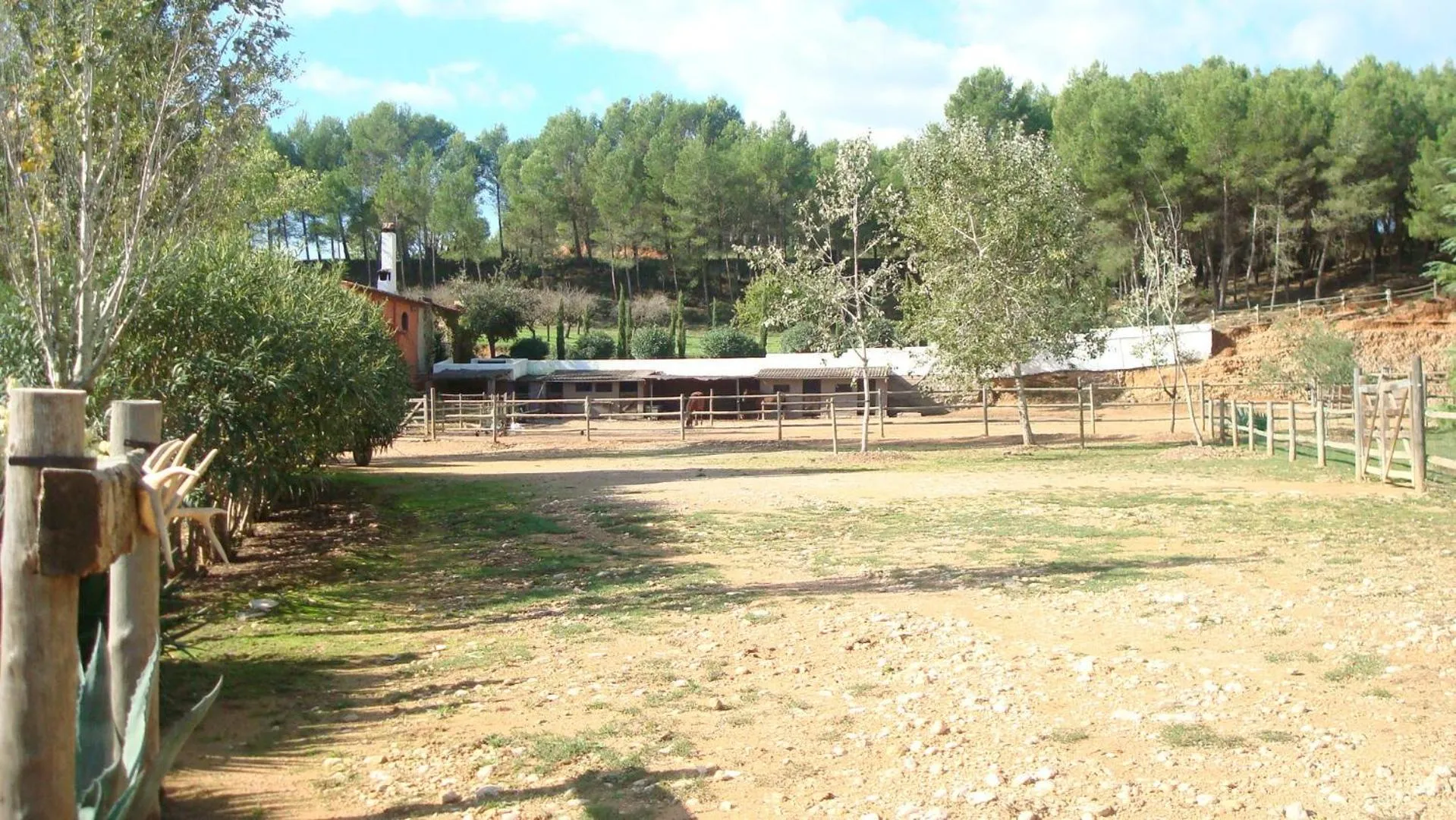 Horse-riding in Comarquinal Bioresort Penedes