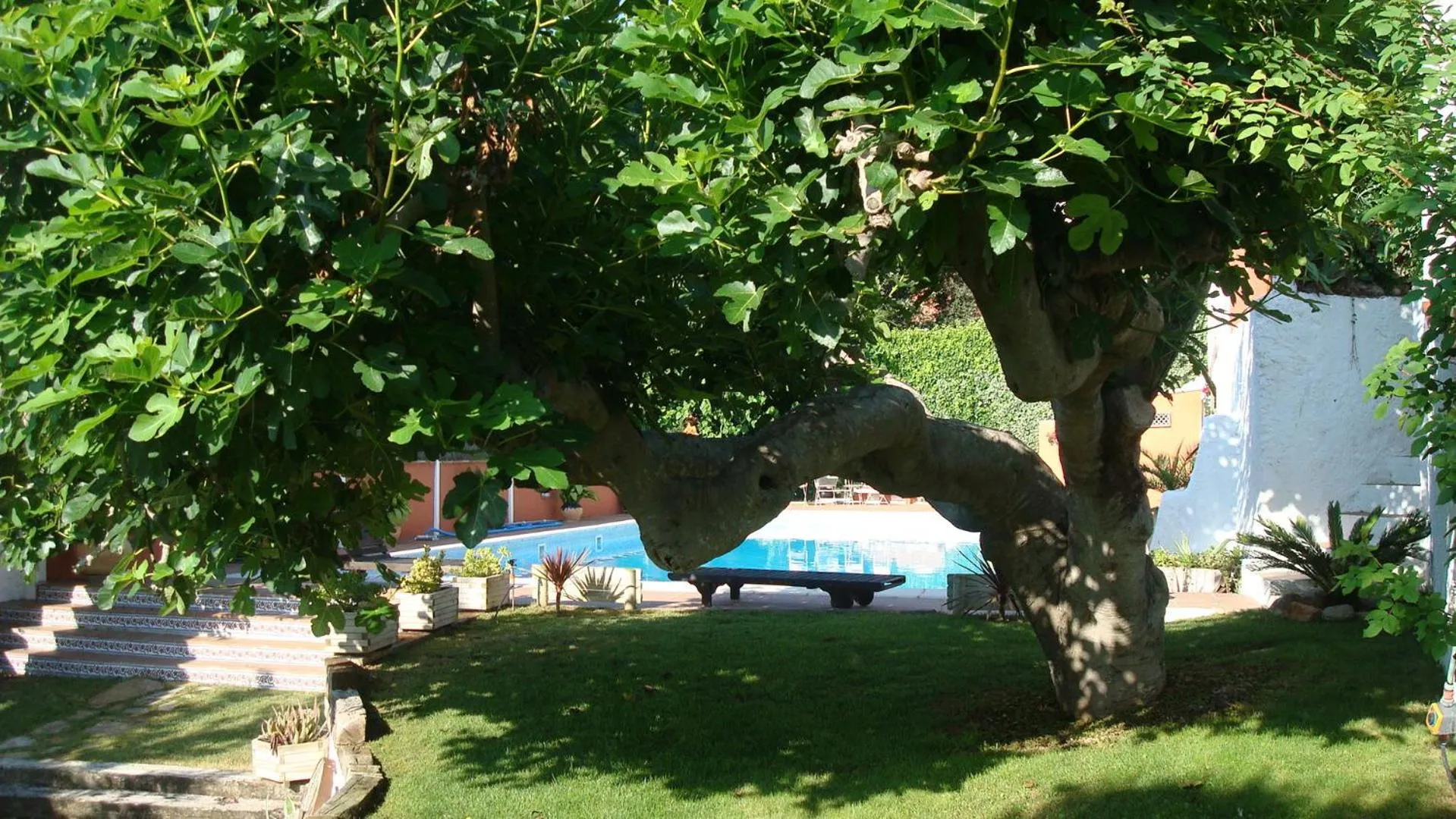 Garden in Comarquinal Bioresort Penedes