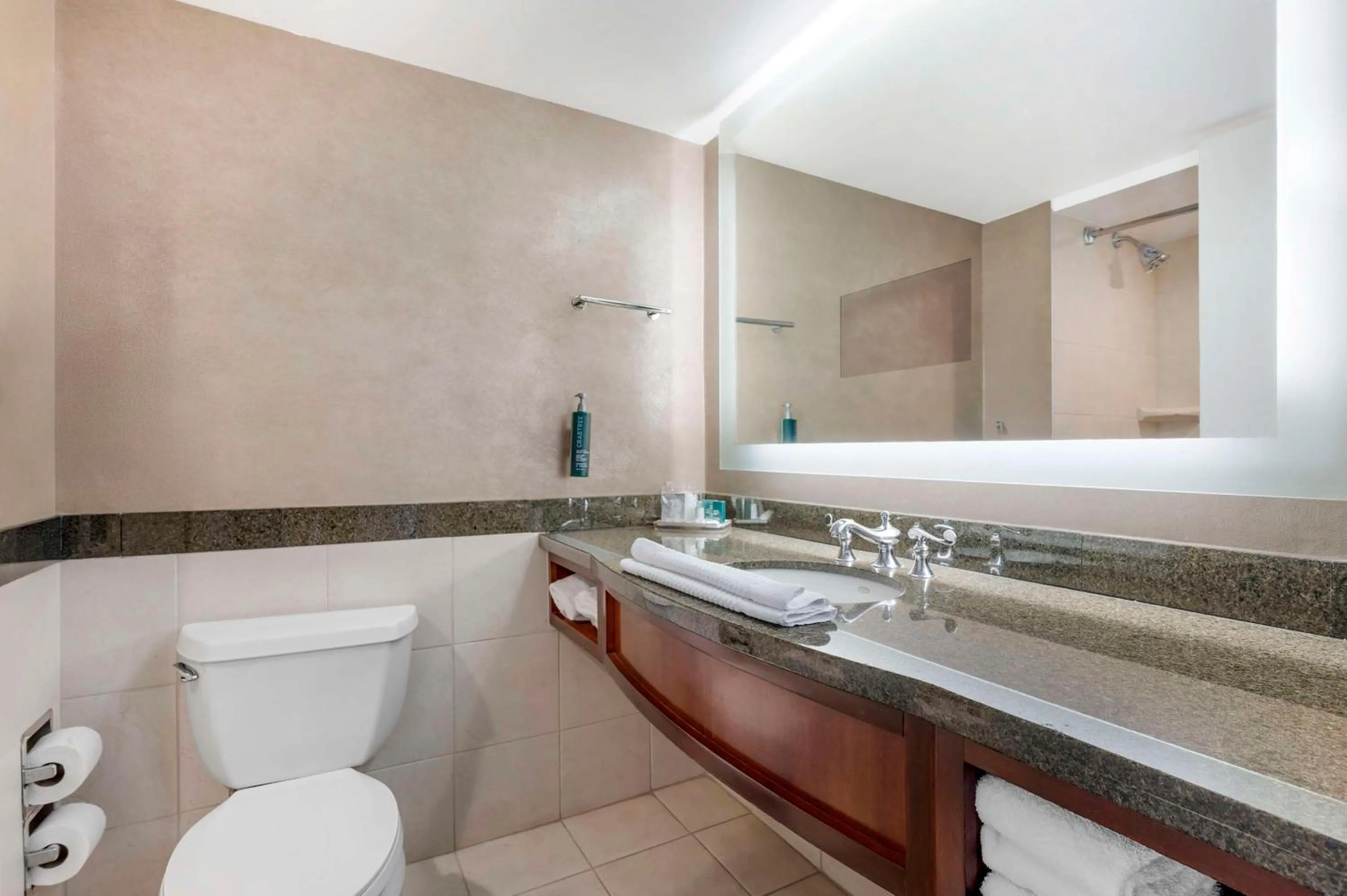 Bathroom in Hilton Virginia Beach Oceanfront