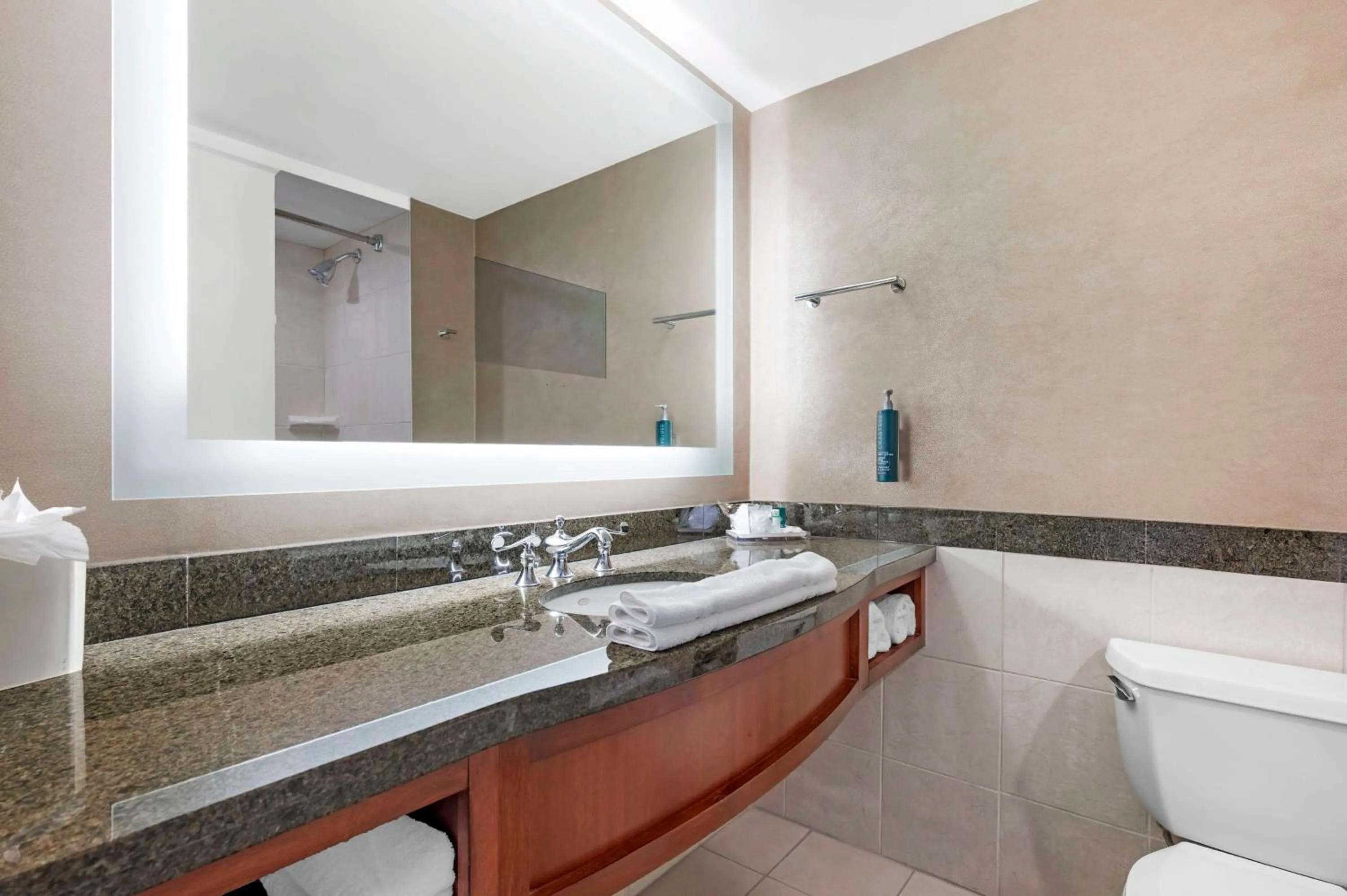 Bathroom in Hilton Virginia Beach Oceanfront