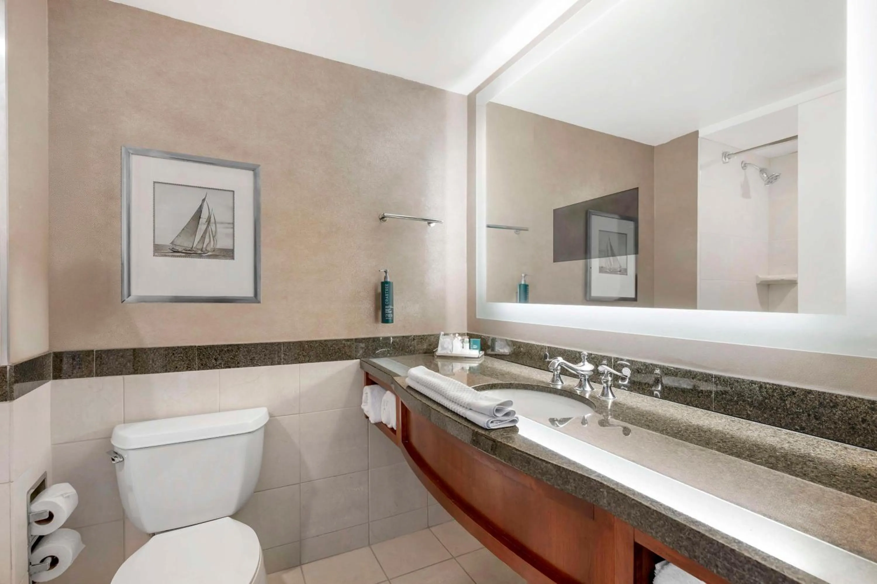 Bathroom in Hilton Virginia Beach Oceanfront