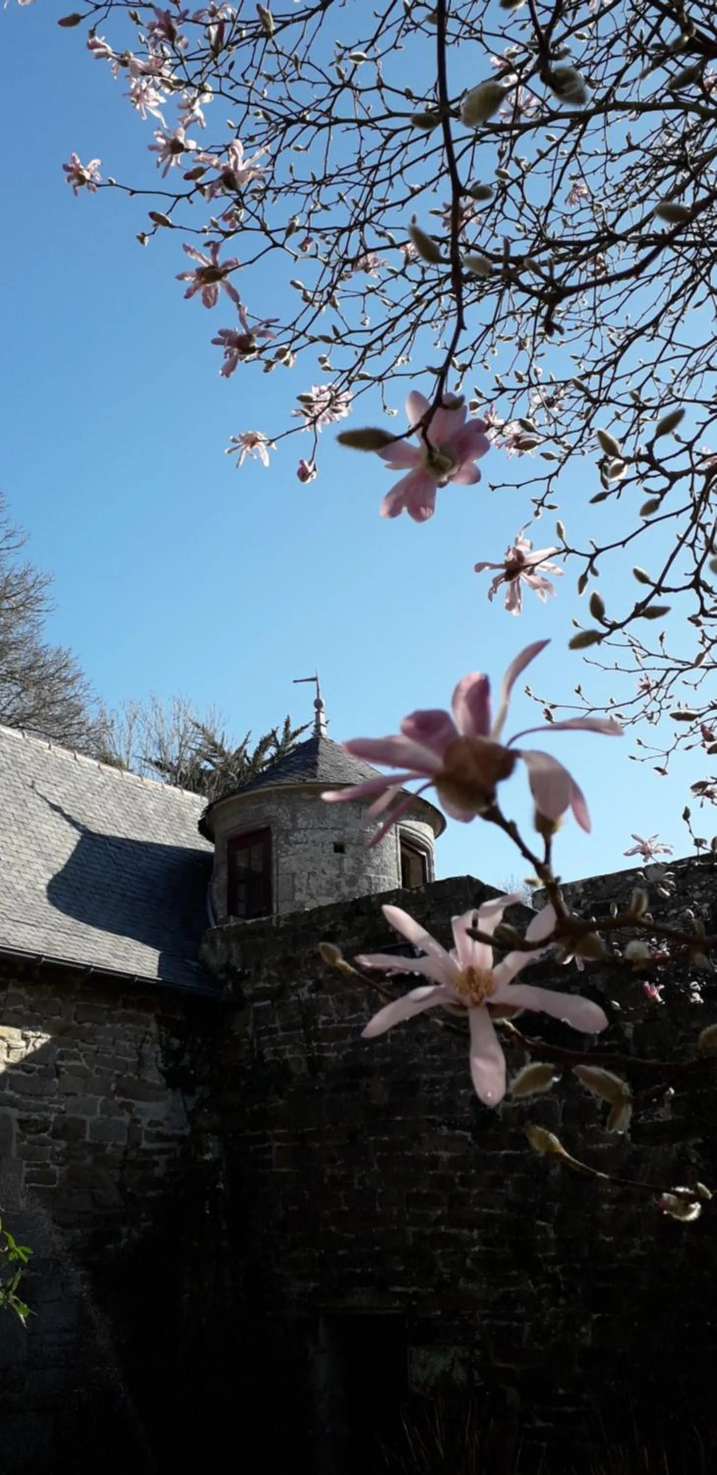 Manoir du Moustoir - Hôtel Les Empreintes