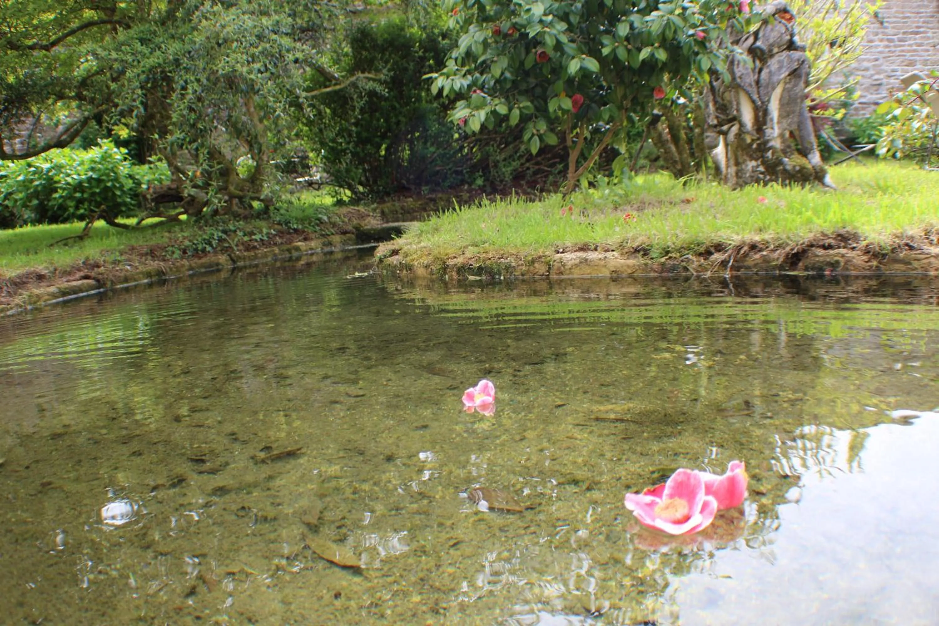 Garden in Manoir du Moustoir - Hôtel Les Empreintes