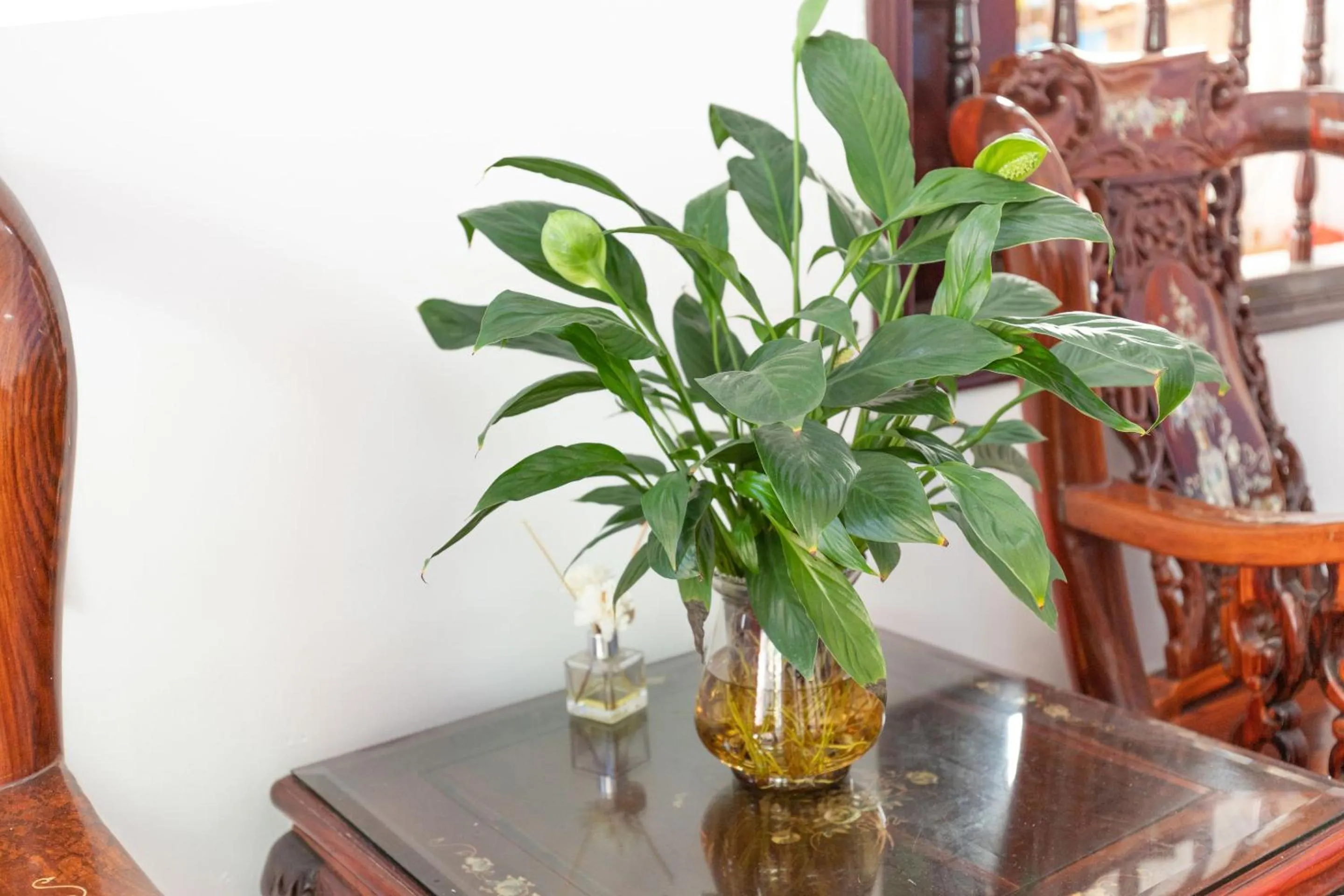 Dining area in Acasa Hotel Vung Tau