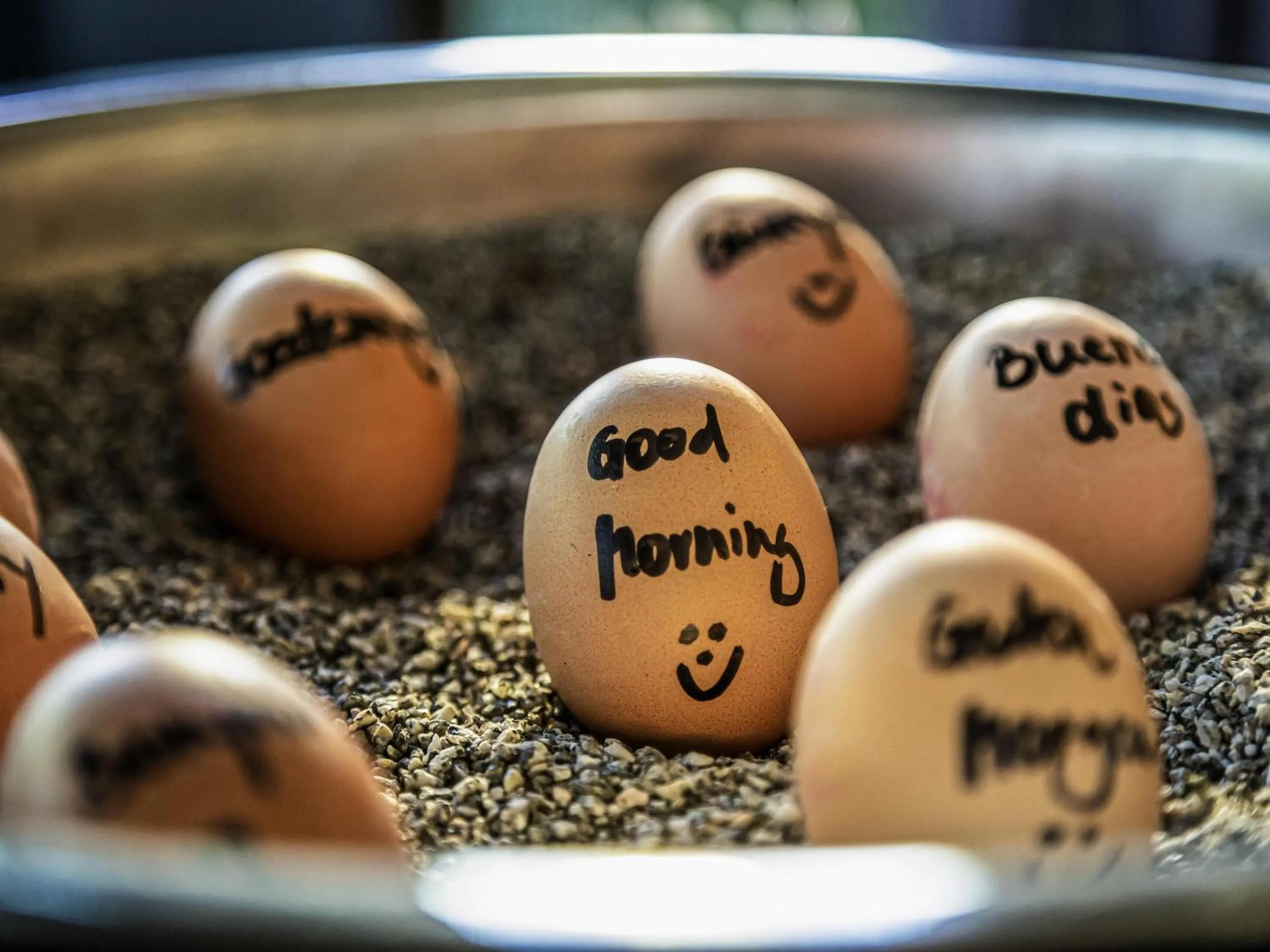 Breakfast in ibis Styles Vechta