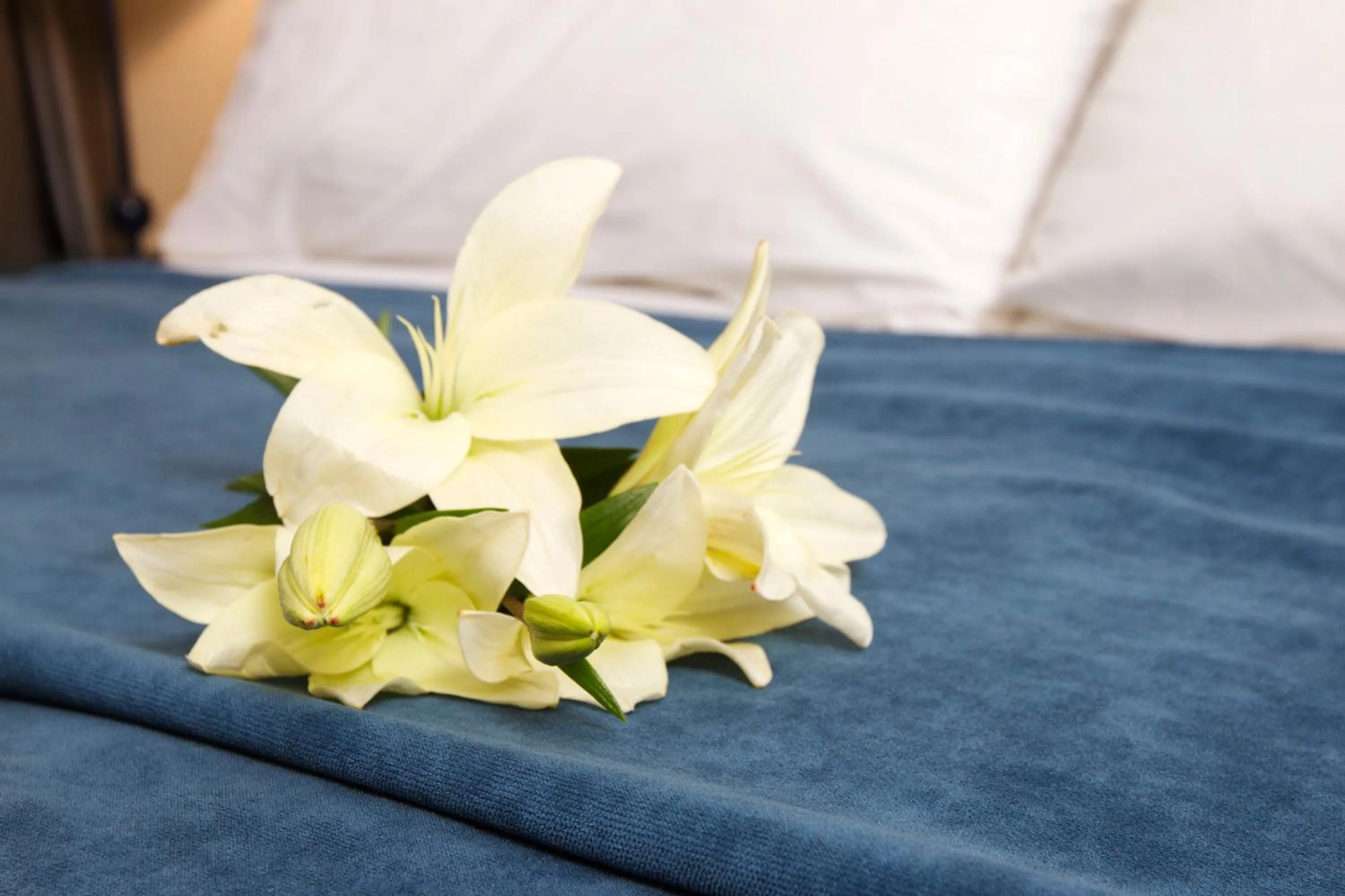 Decorative detail, Bed in Mayla Apartments