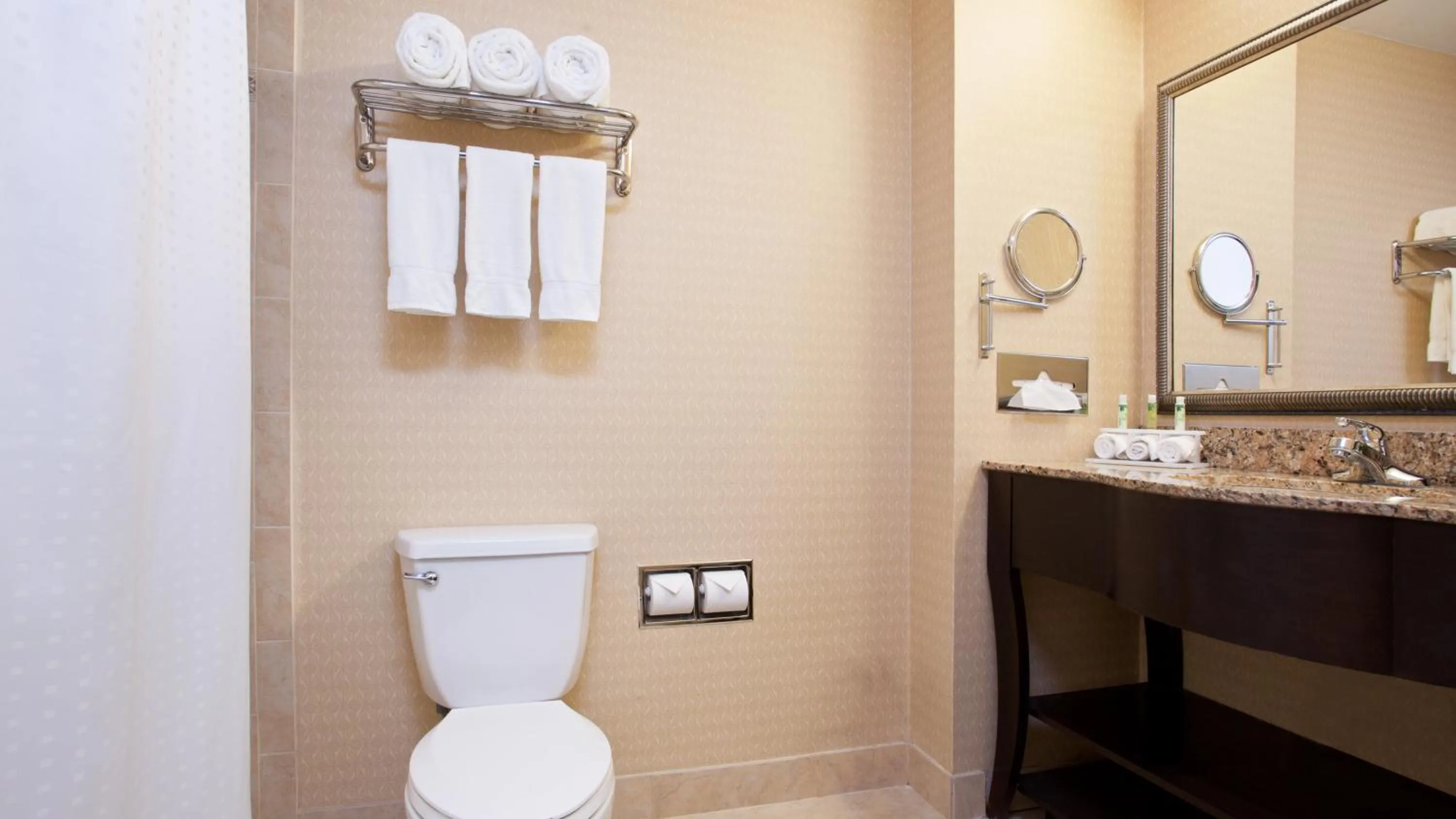 Bathroom in Holiday Inn Express and Suites Allentown West by IHG