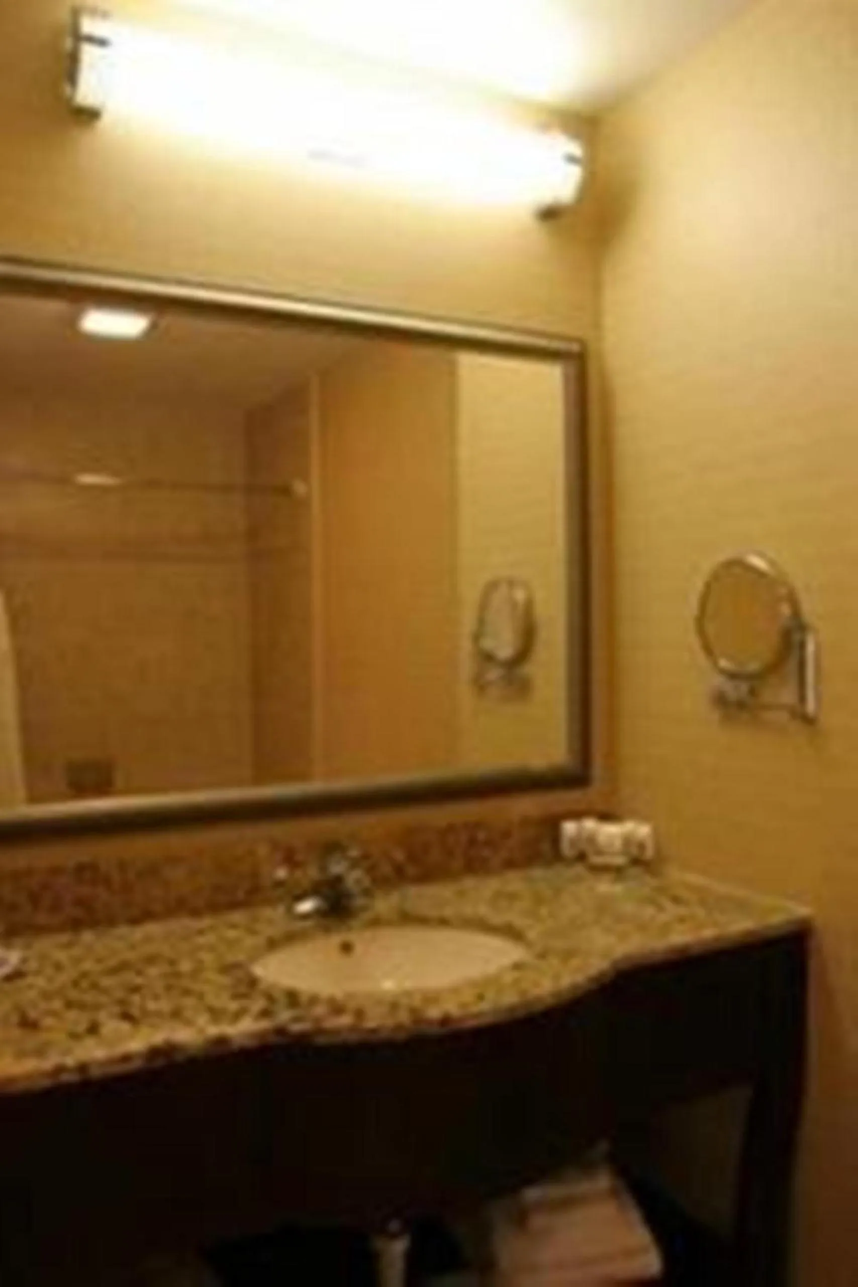 Bathroom in Holiday Inn Express and Suites Allentown West by IHG