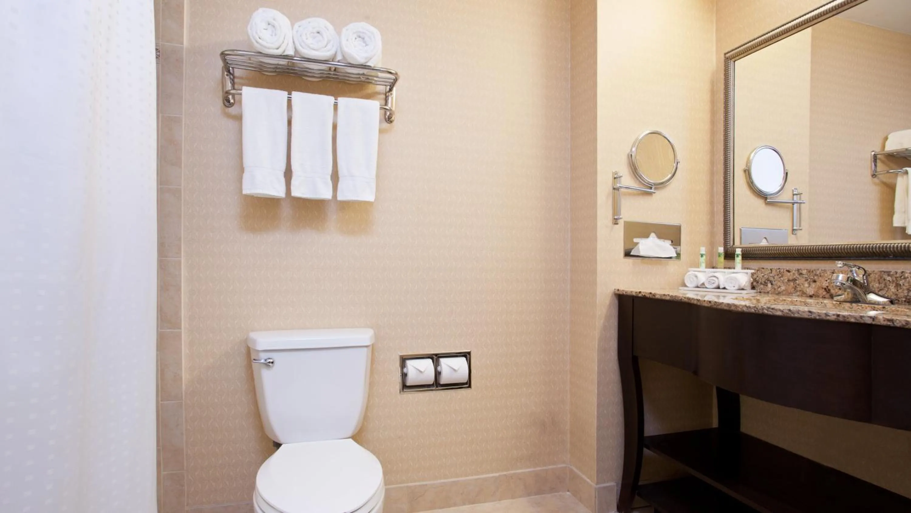 Bathroom in Holiday Inn Express and Suites Allentown West by IHG
