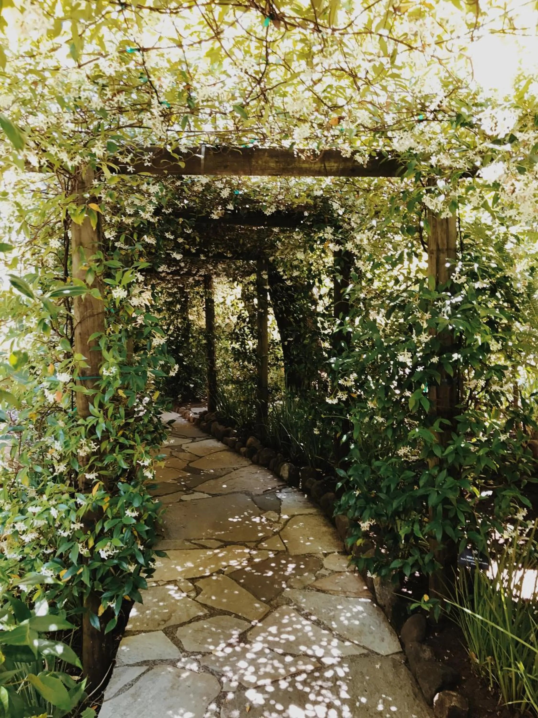 Area and facilities in Kenwood Inn & Spa