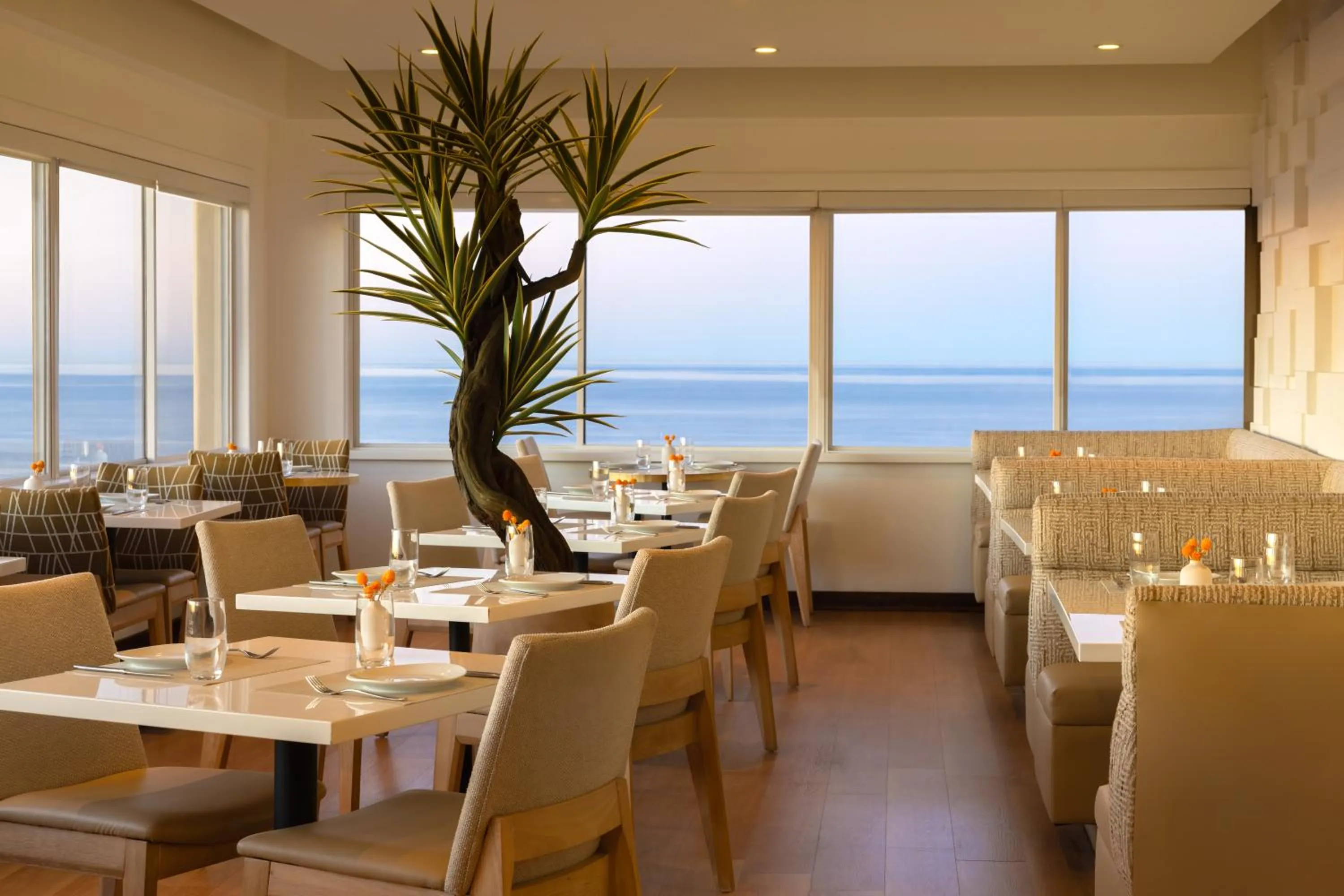 Restaurant/places to eat in Huntley Santa Monica Beach