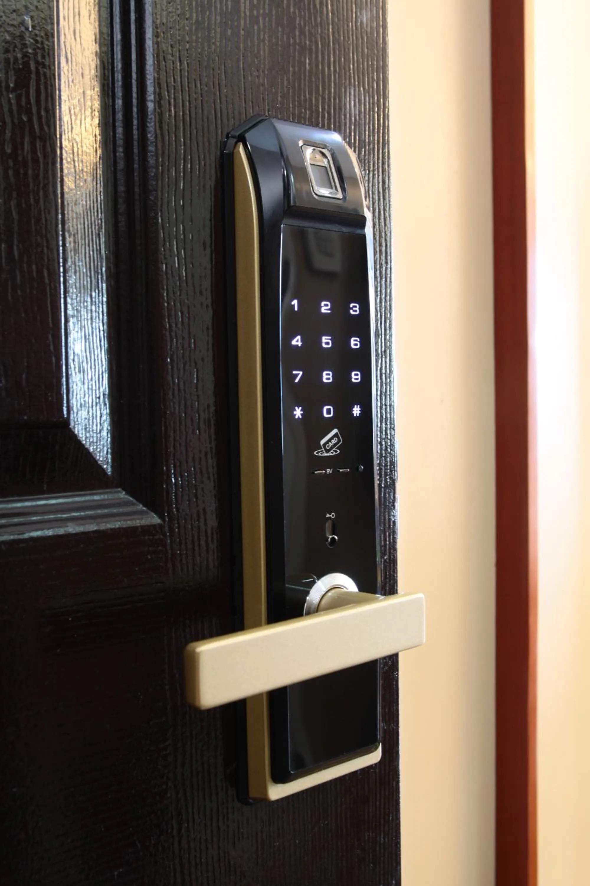 Malate Bayview Mansion city view