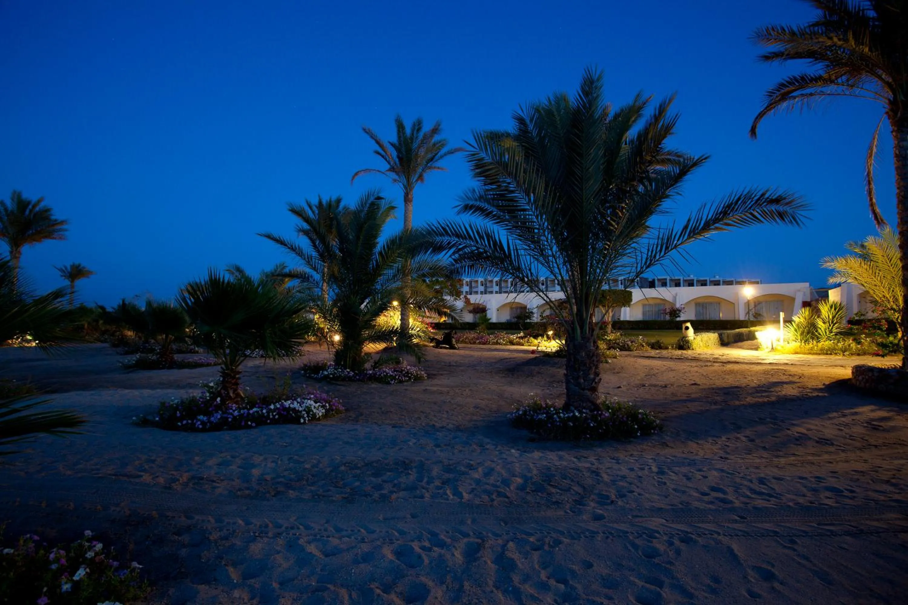 Beach in Royal Brayka Beach Resort