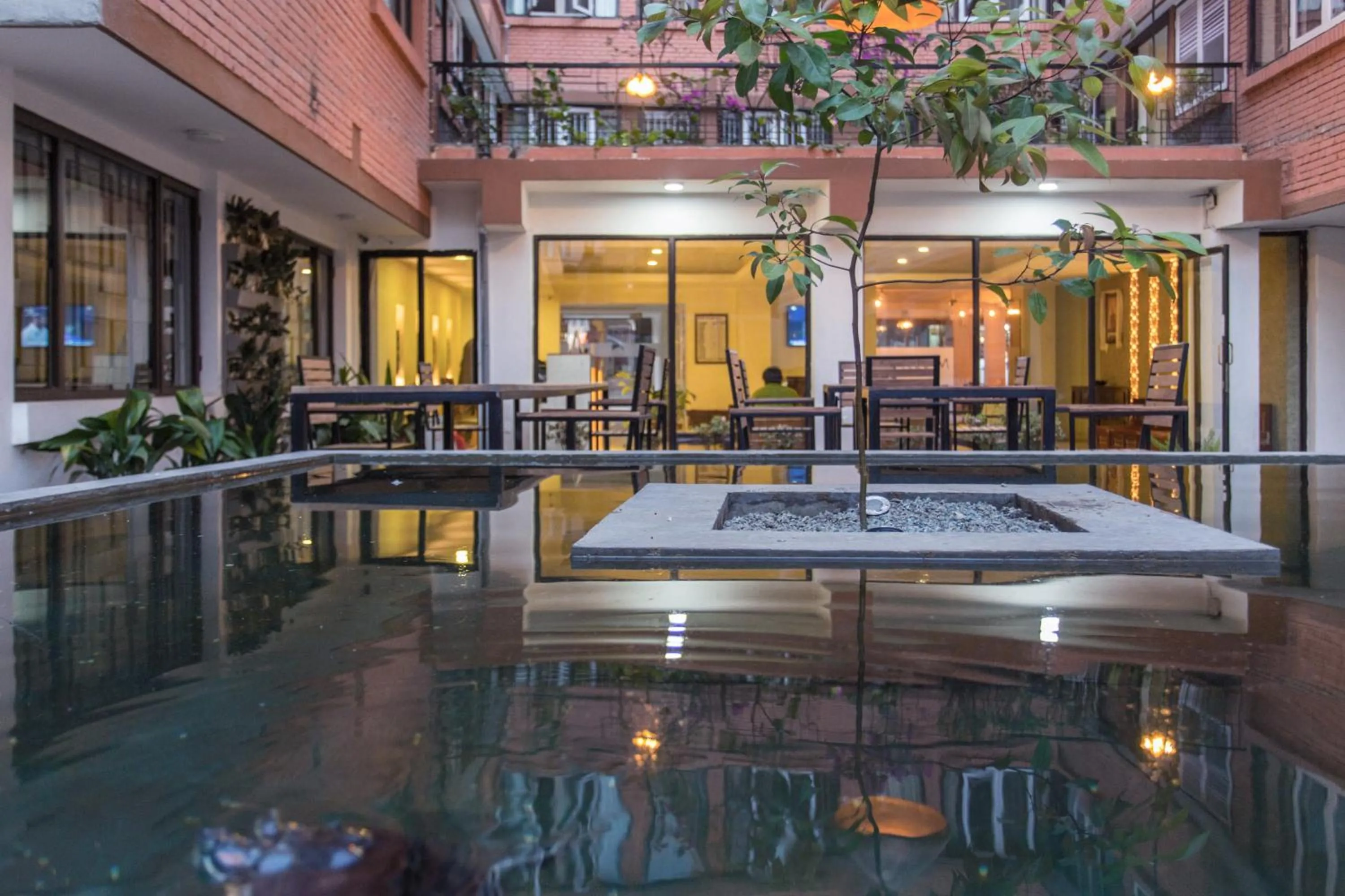 Garden in Potala Guest House