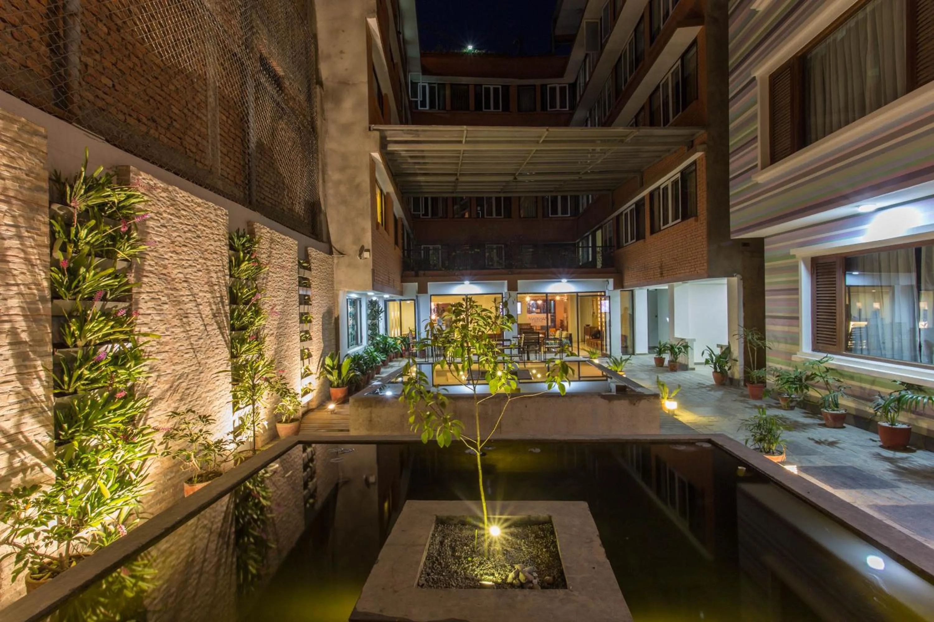 Garden in Potala Guest House