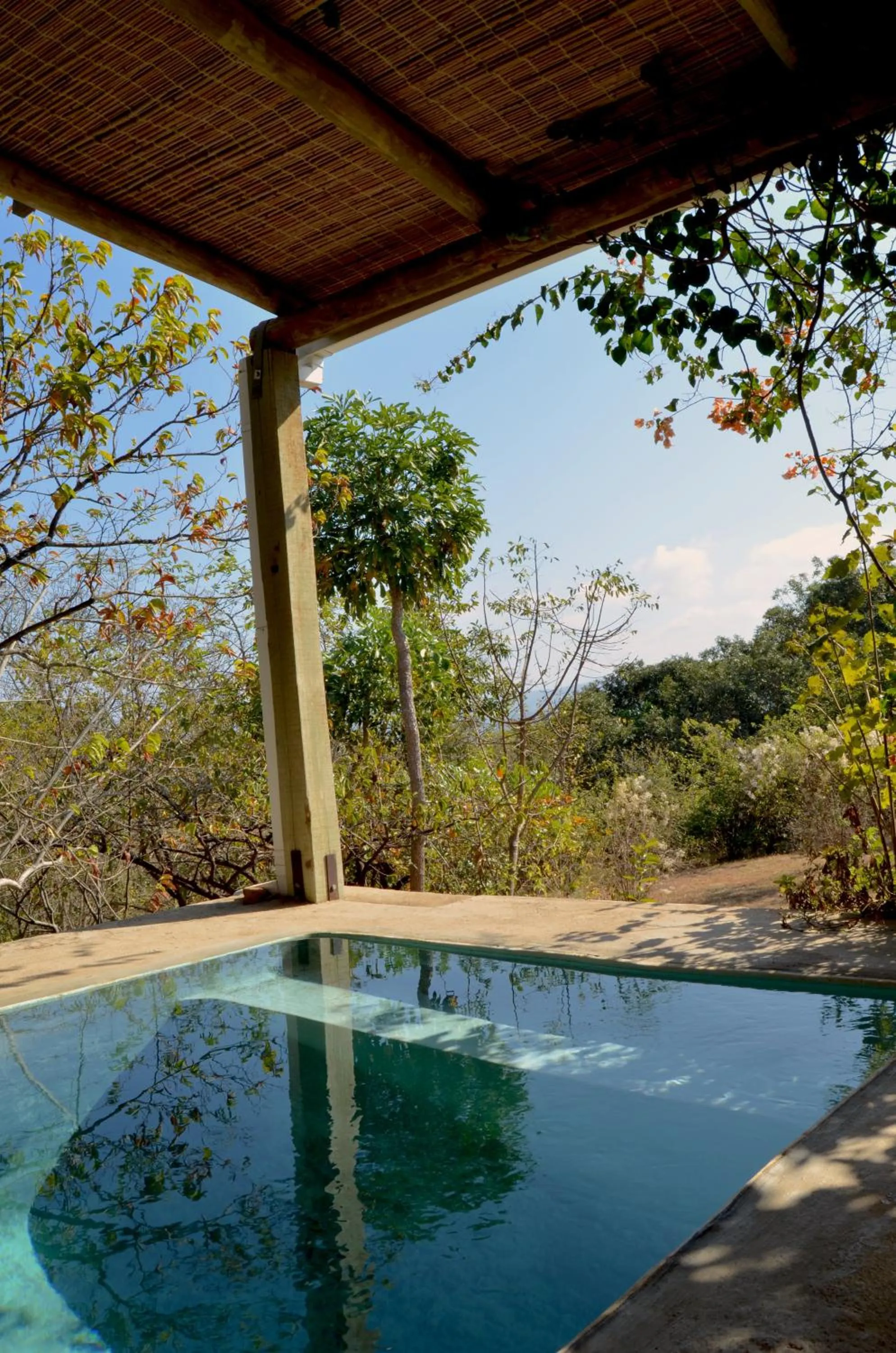 Balcony/Terrace in Ashbourne Country Escape Hazyview