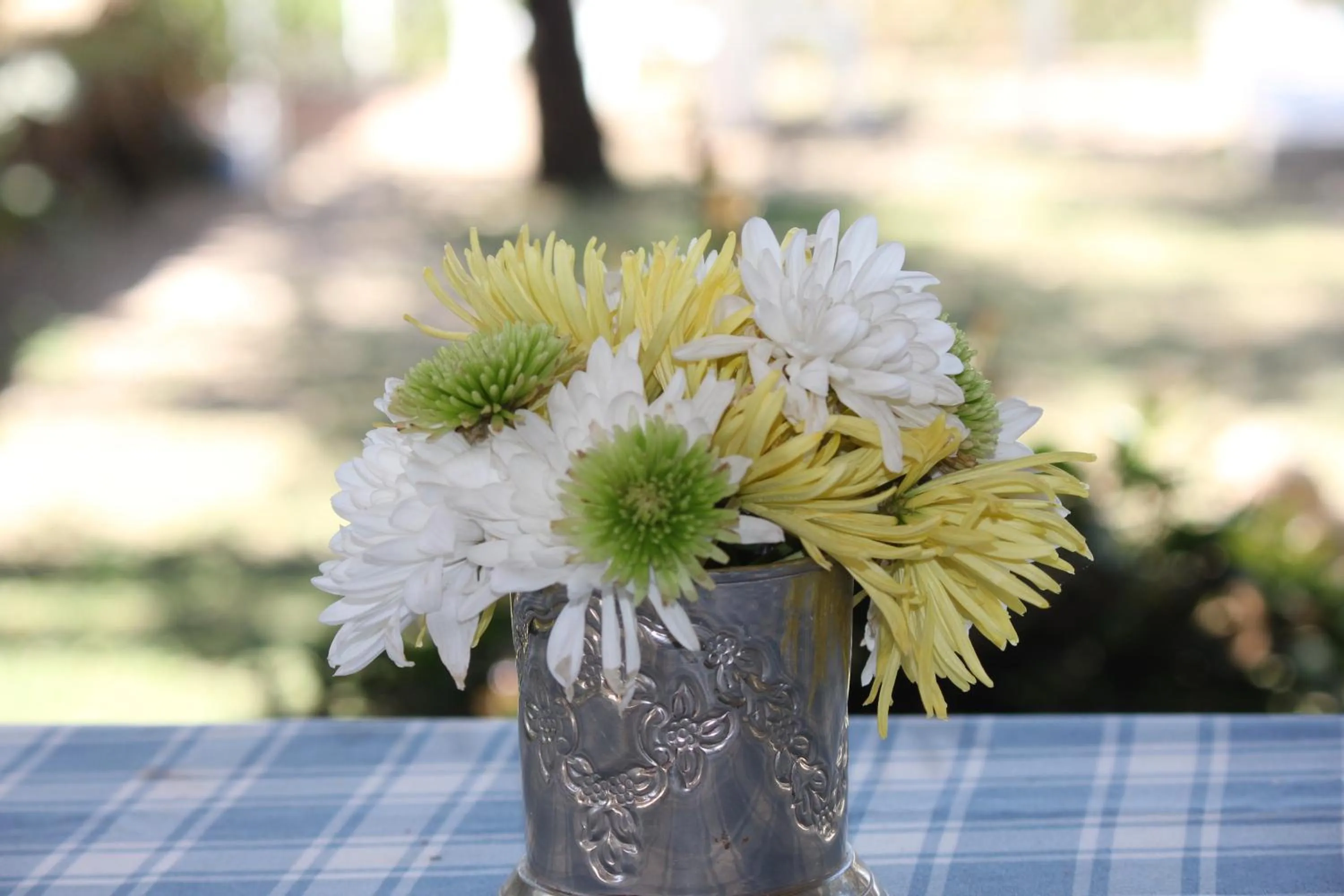 Decorative detail in Ashbourne Country Escape Hazyview