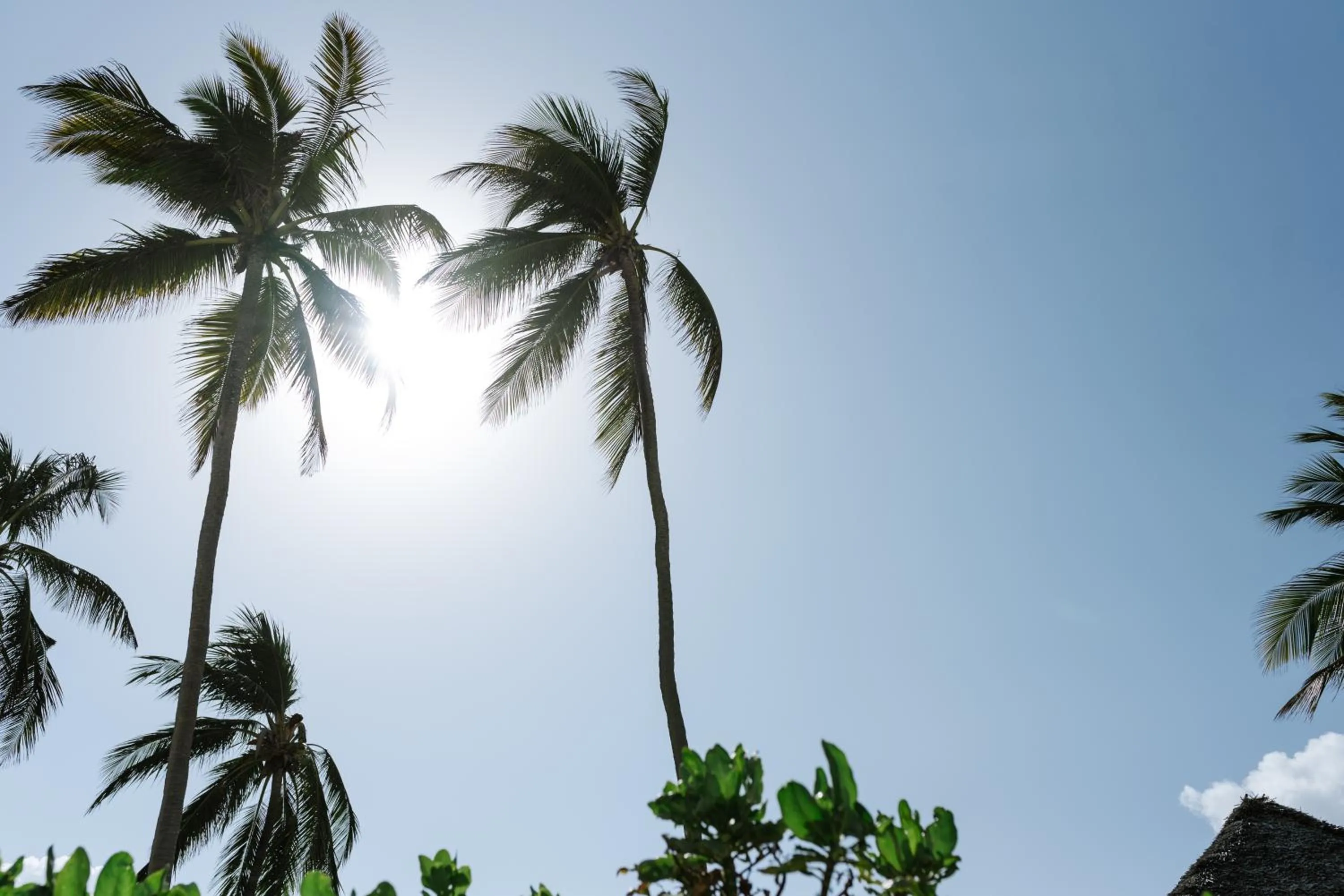 Sea view in Villa Kiva Boutique Hotel