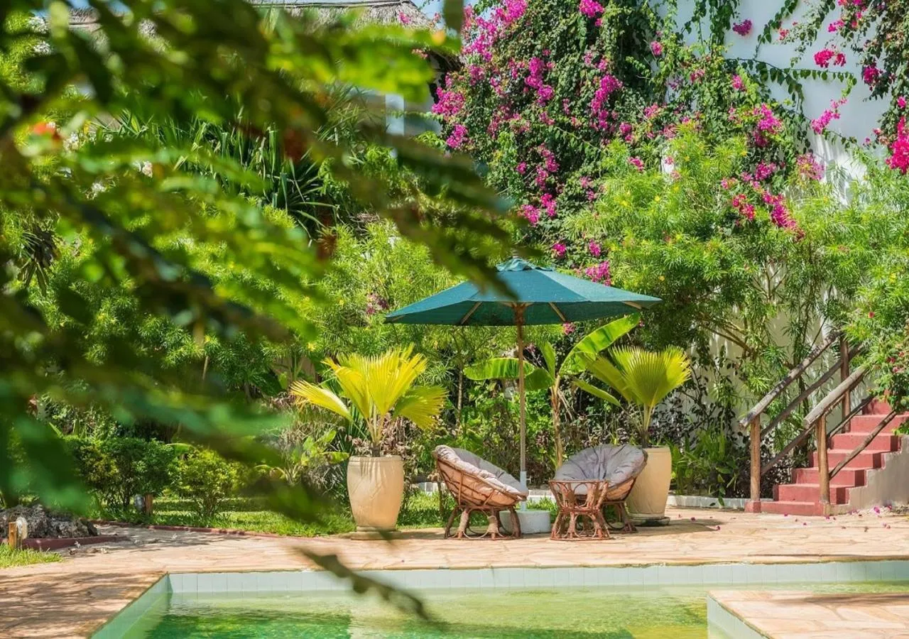 Swimming pool in Villa Kiva Boutique Hotel