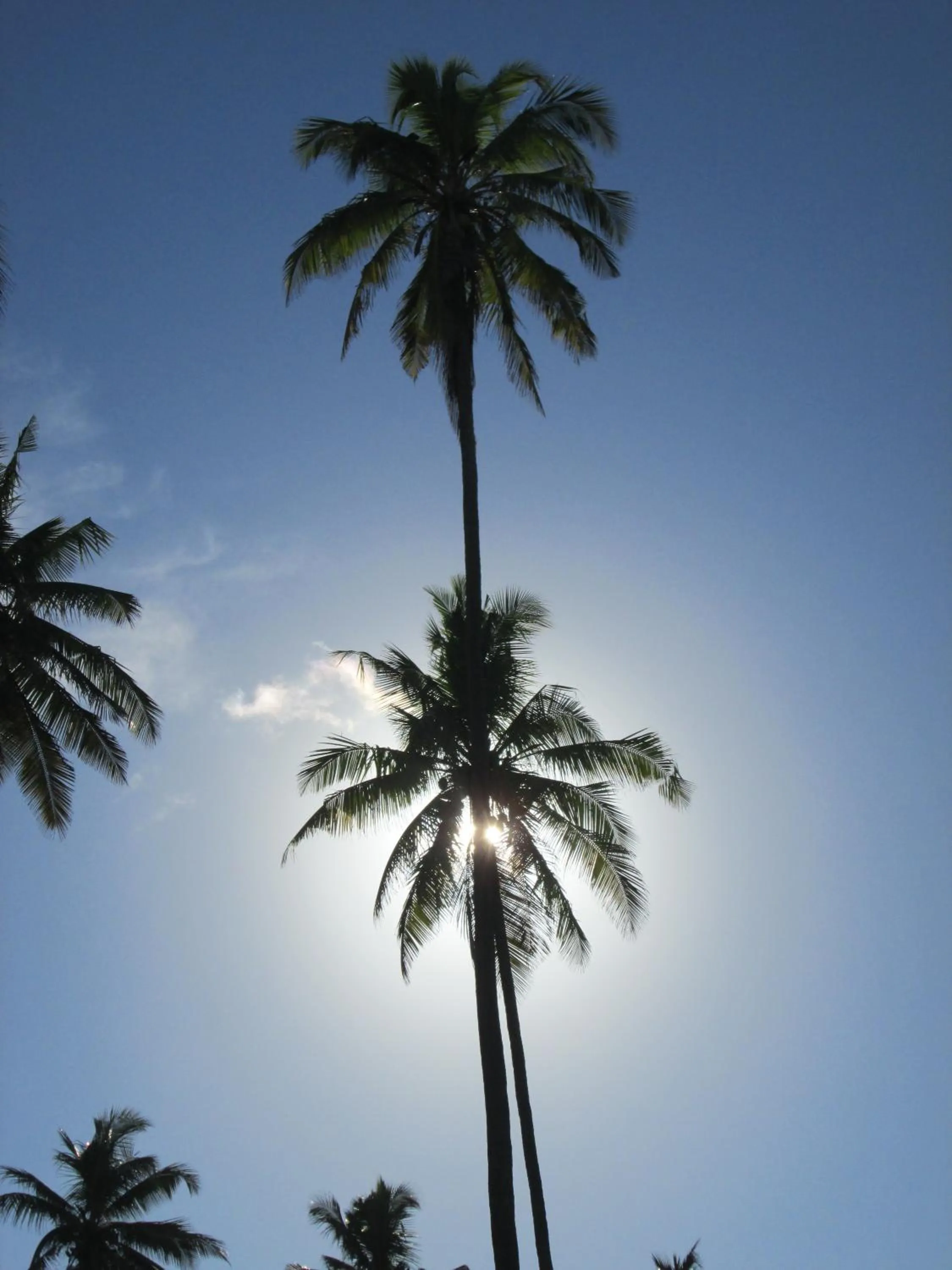 Other in Villa Kiva Boutique Hotel